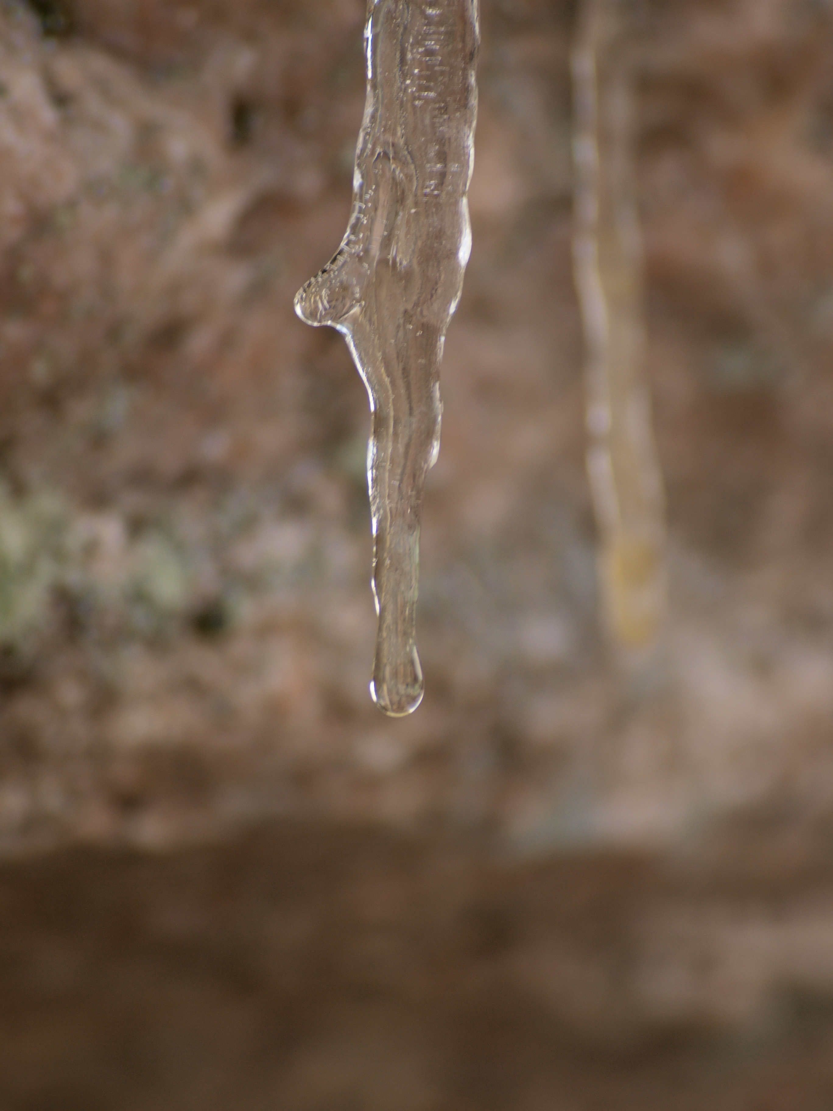 Icicle, Cold, Freeze, Ice, Water, HQ Photo