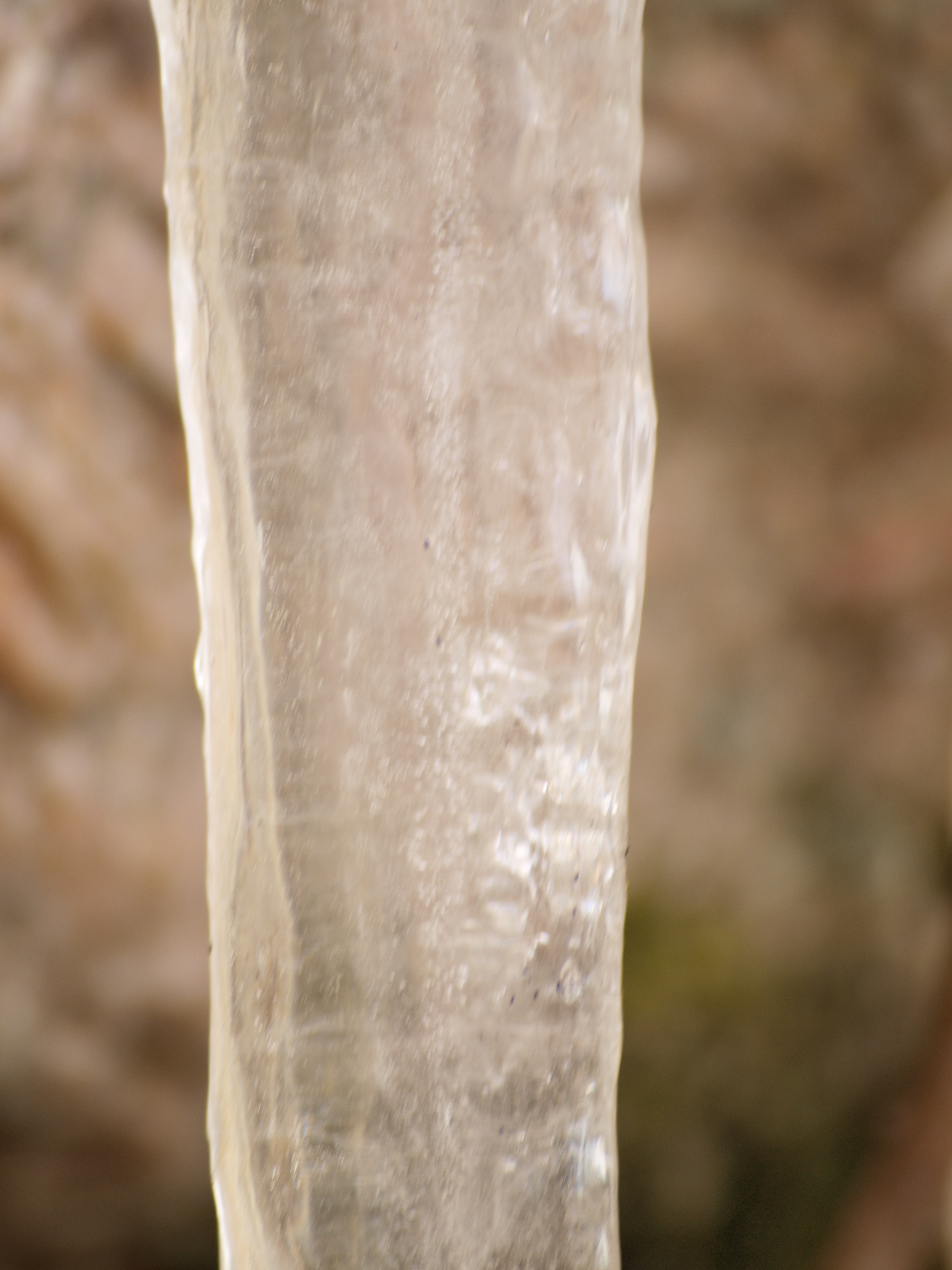 Icicle, Cold, Freeze, Ice, Water, HQ Photo