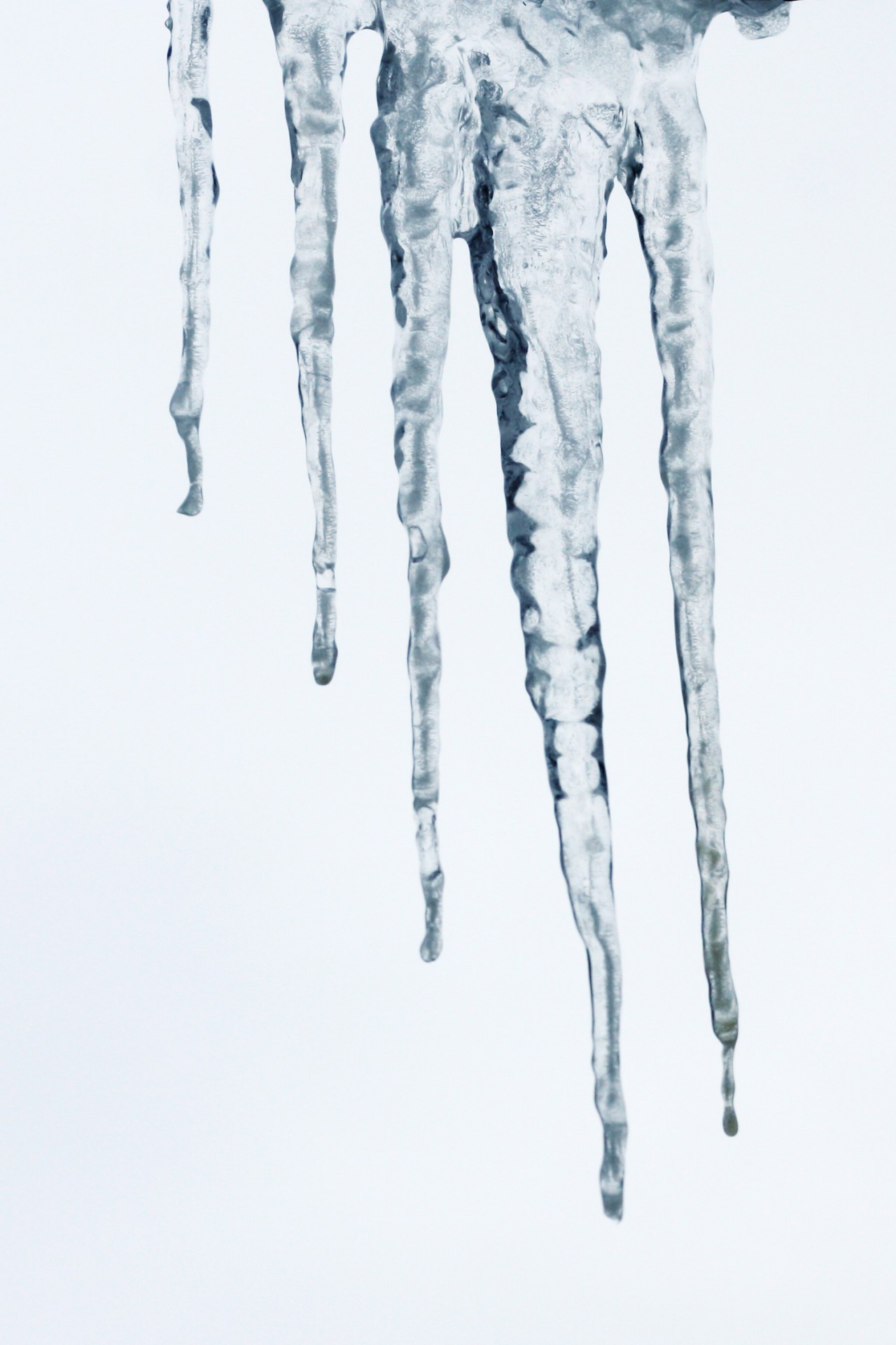 Icicles Free Stock Photo - Public Domain Pictures