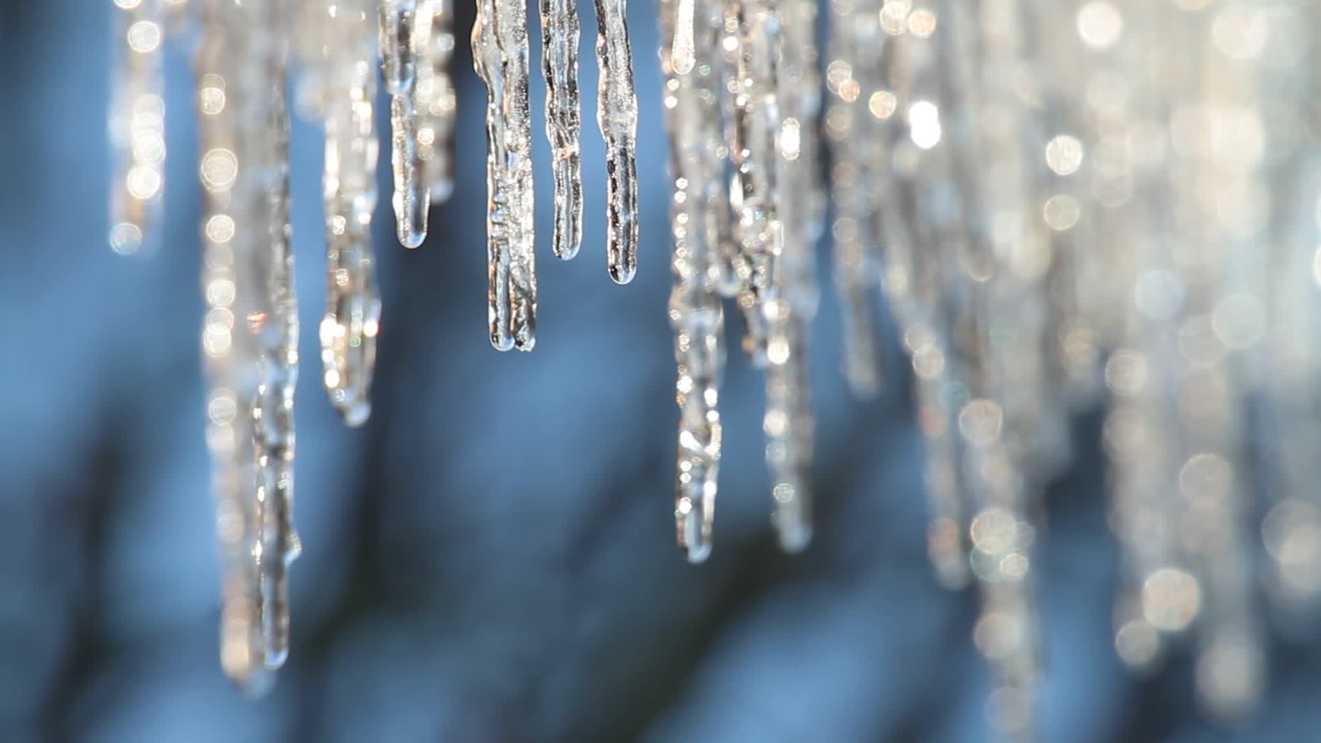 Free photo: Icicles - Abstract, Black