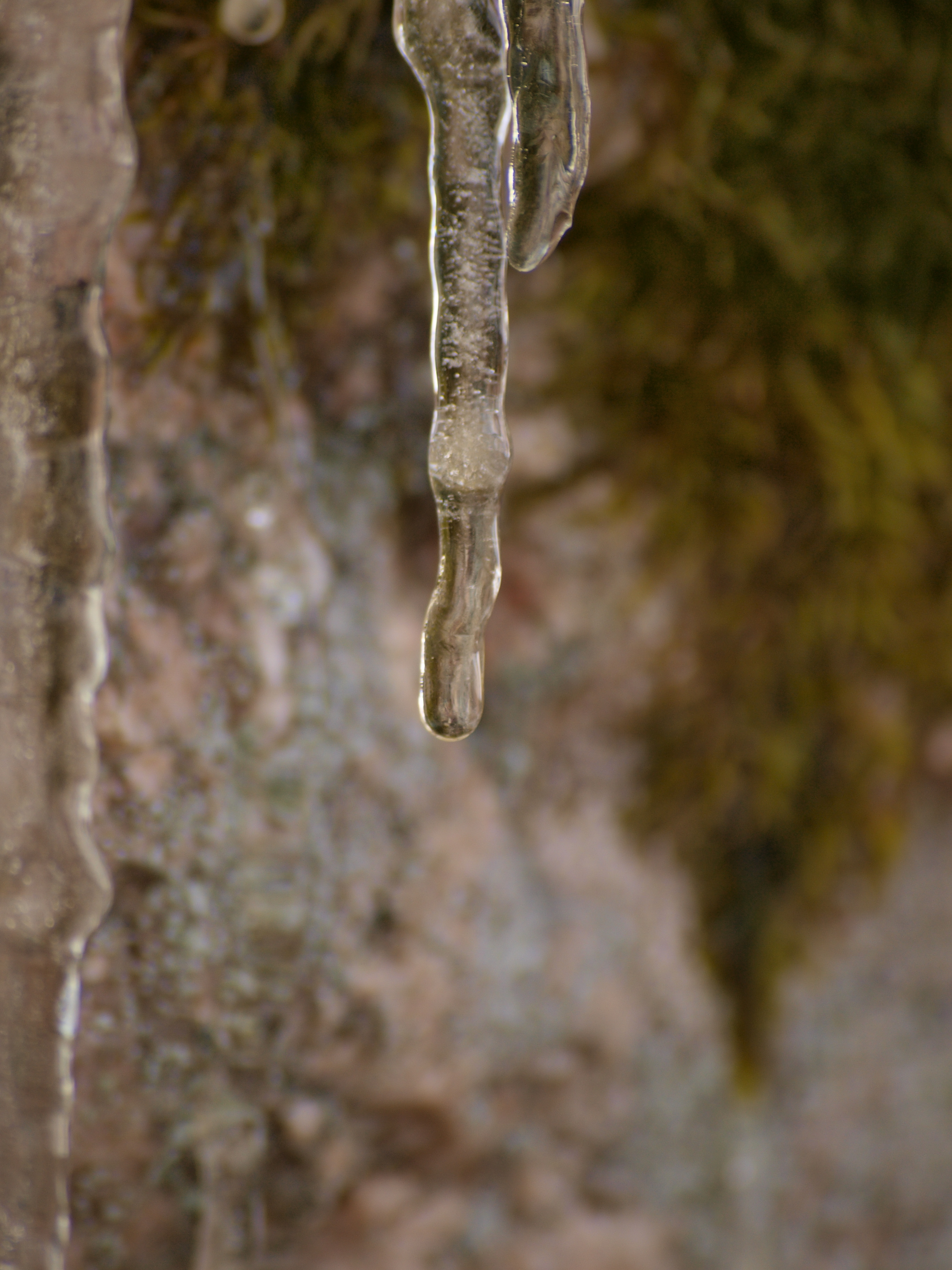 Icicles, Cold, Freeze, Ice, Water, HQ Photo