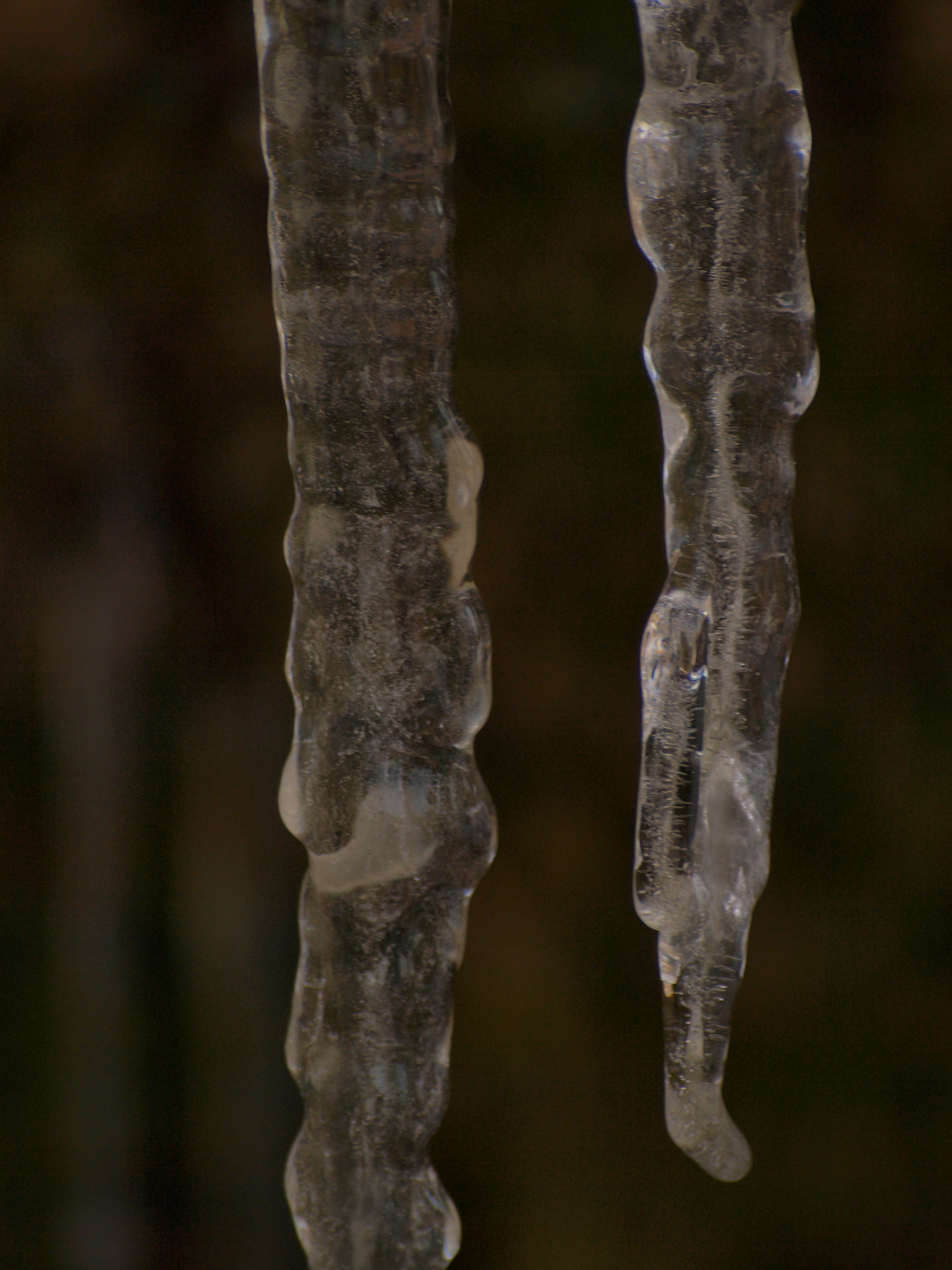 Icicles, Cold, Freeze, Ice, Water, HQ Photo