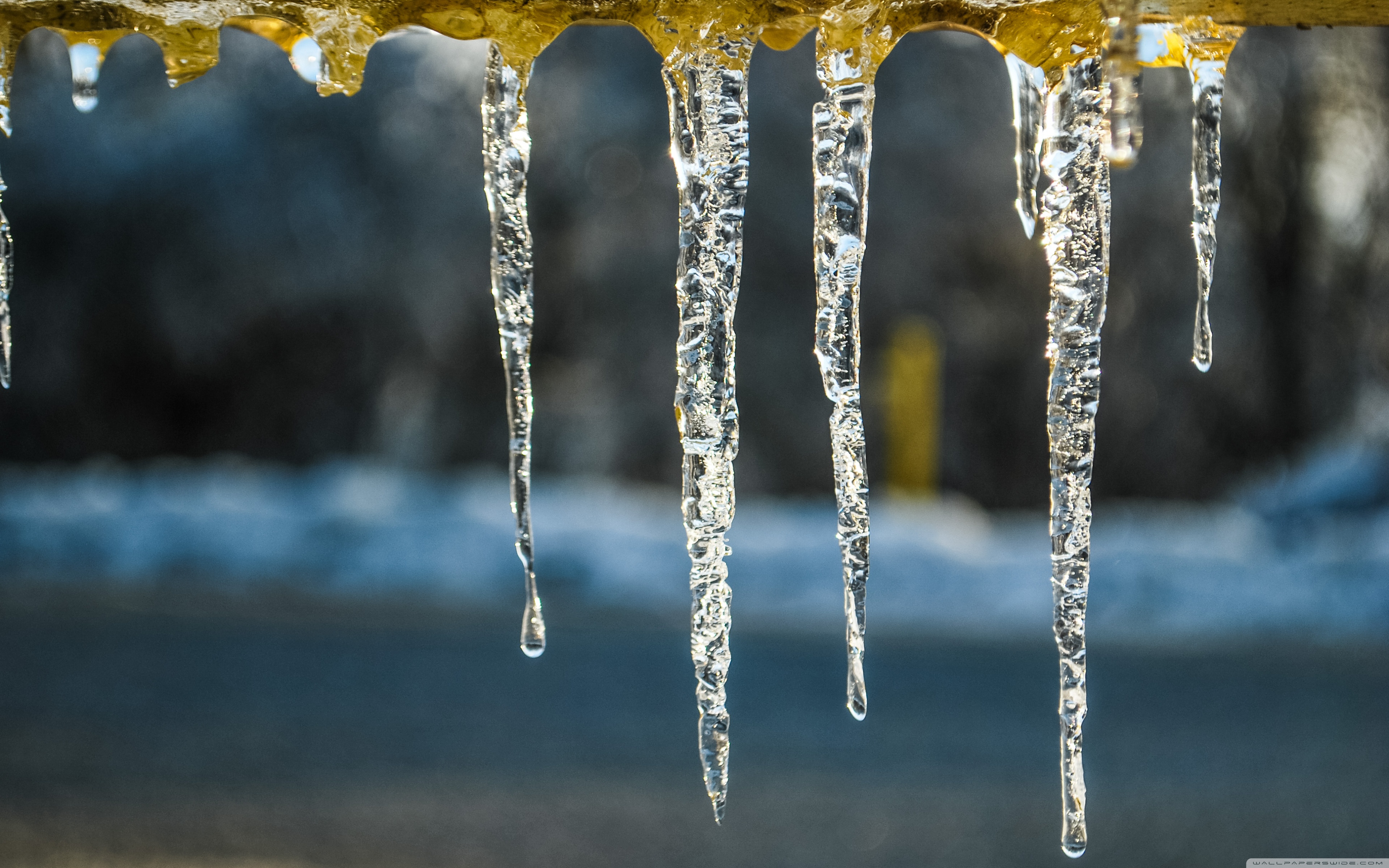 Icicles On A Cold Afternoon ❤ 4K HD Desktop Wallpaper for 4K Ultra ...