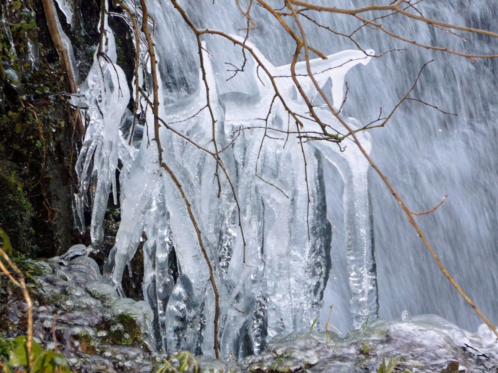 Icy Cold in Glasgow, Scotland | Scottish Tour Guide's Blog