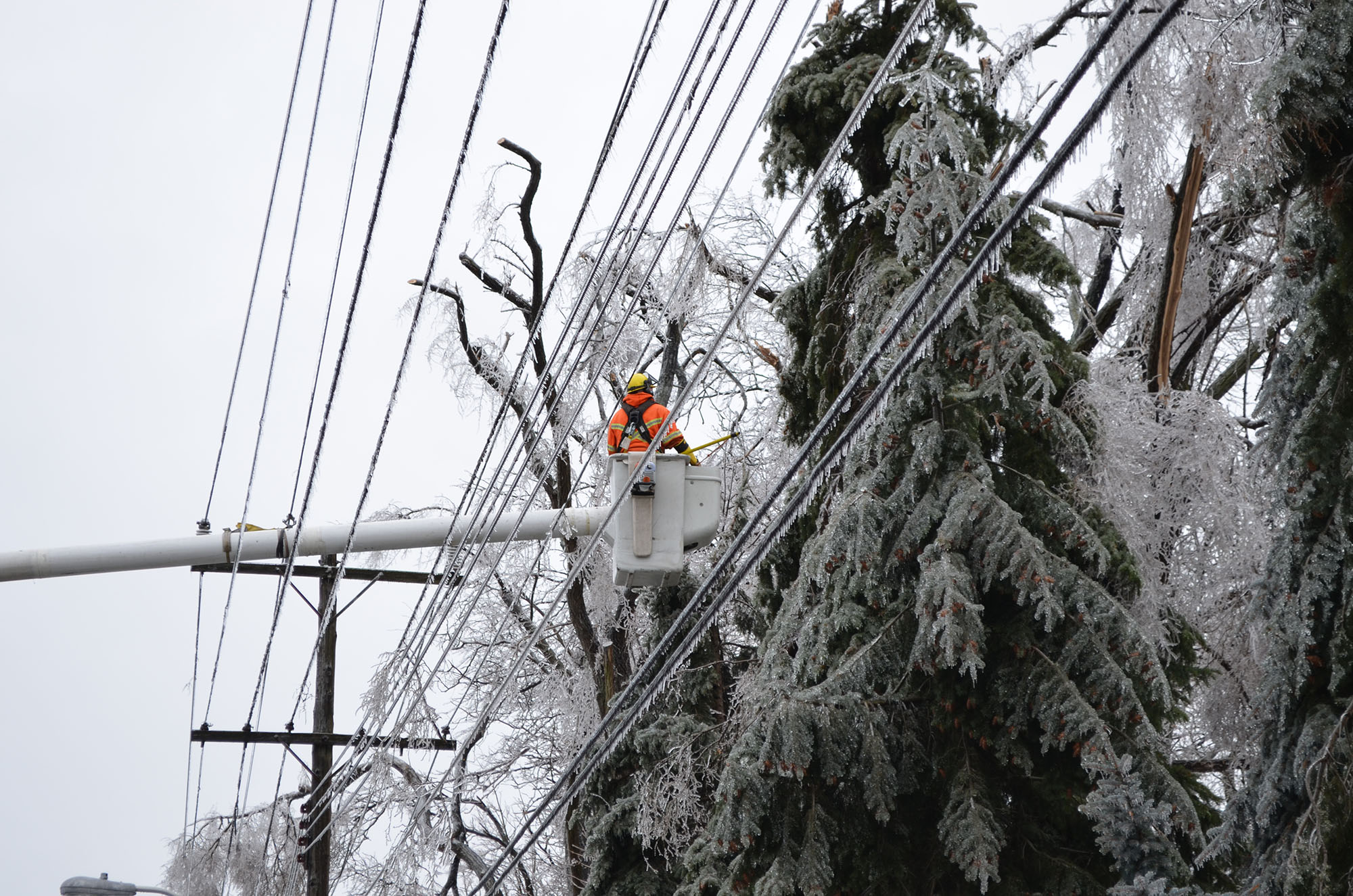 A Thank You to Utility Workers on a Job Well Done [PHOTO GALLERY ...