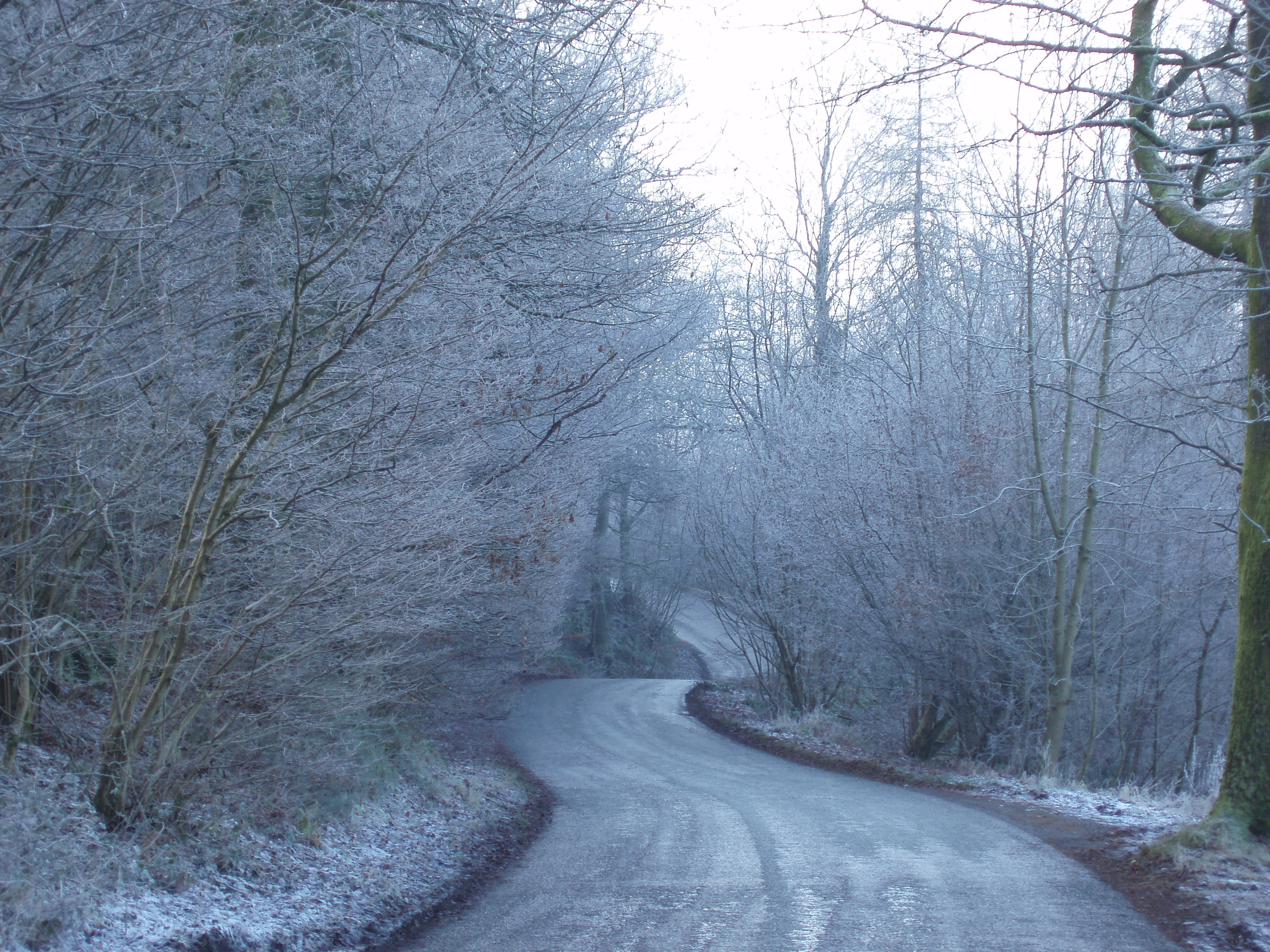 Icy road photo