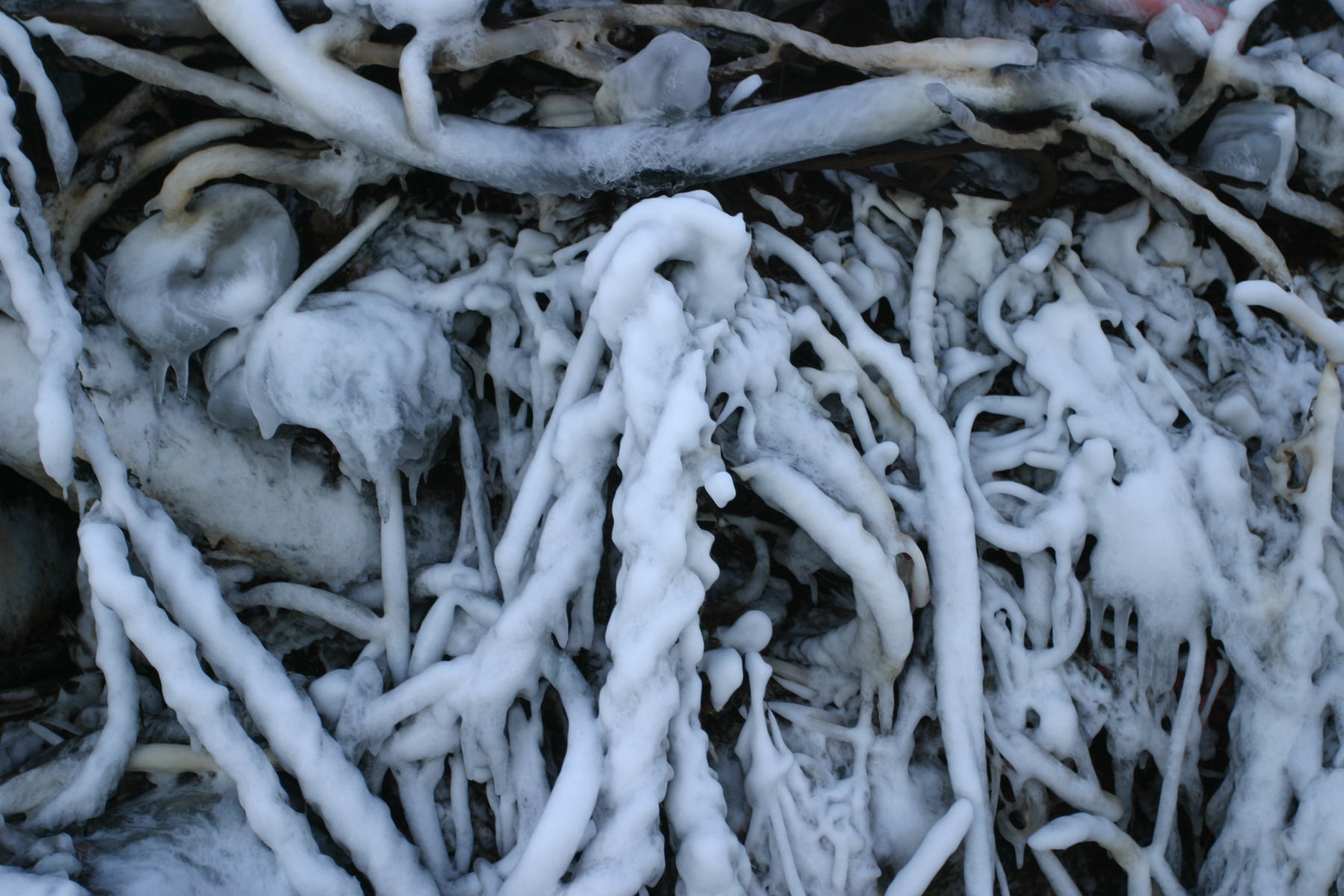 Icy rope and chains photo