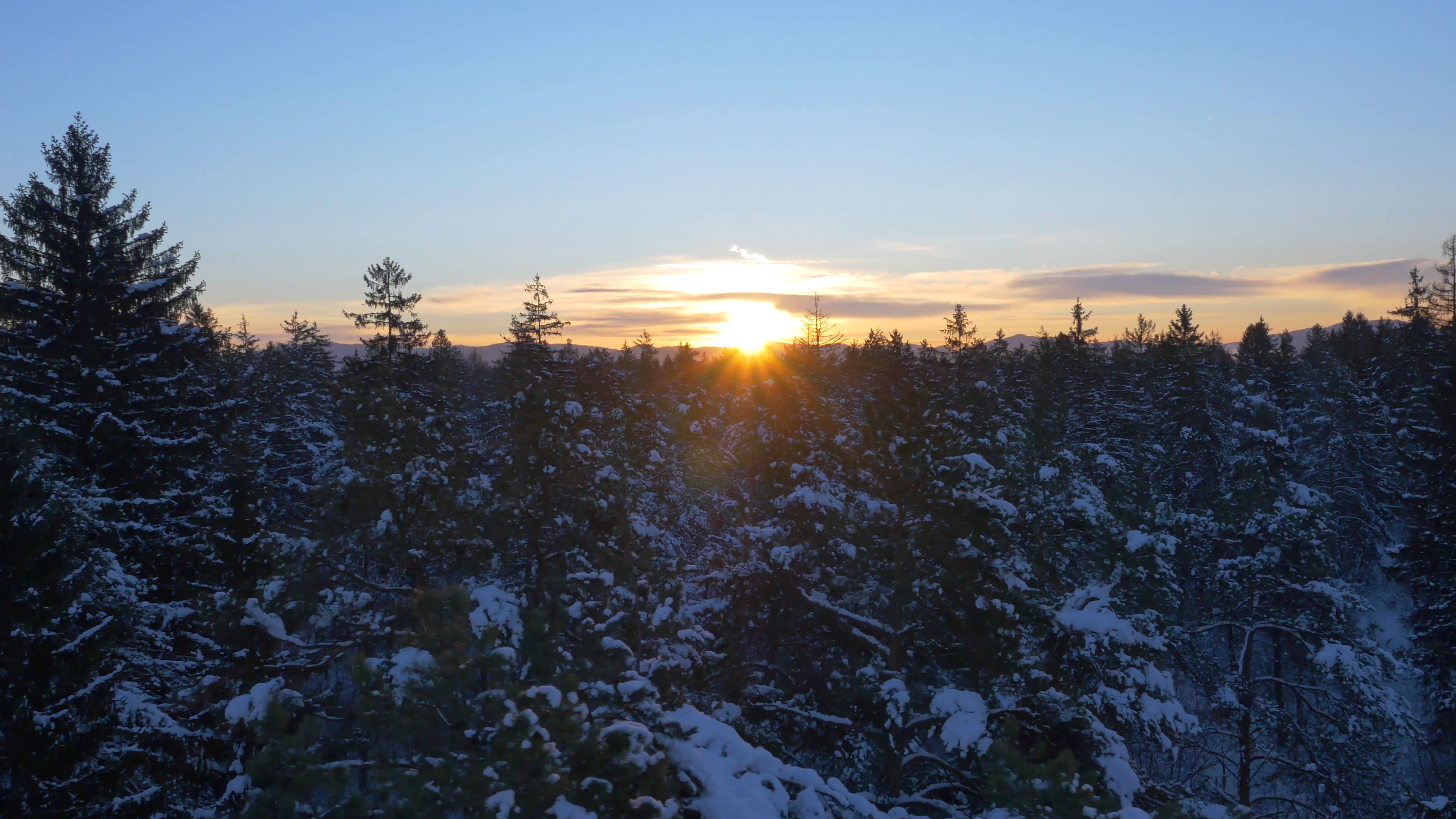 AERIAL: Sun shining through snowy trees at winter sunrise Stock ...