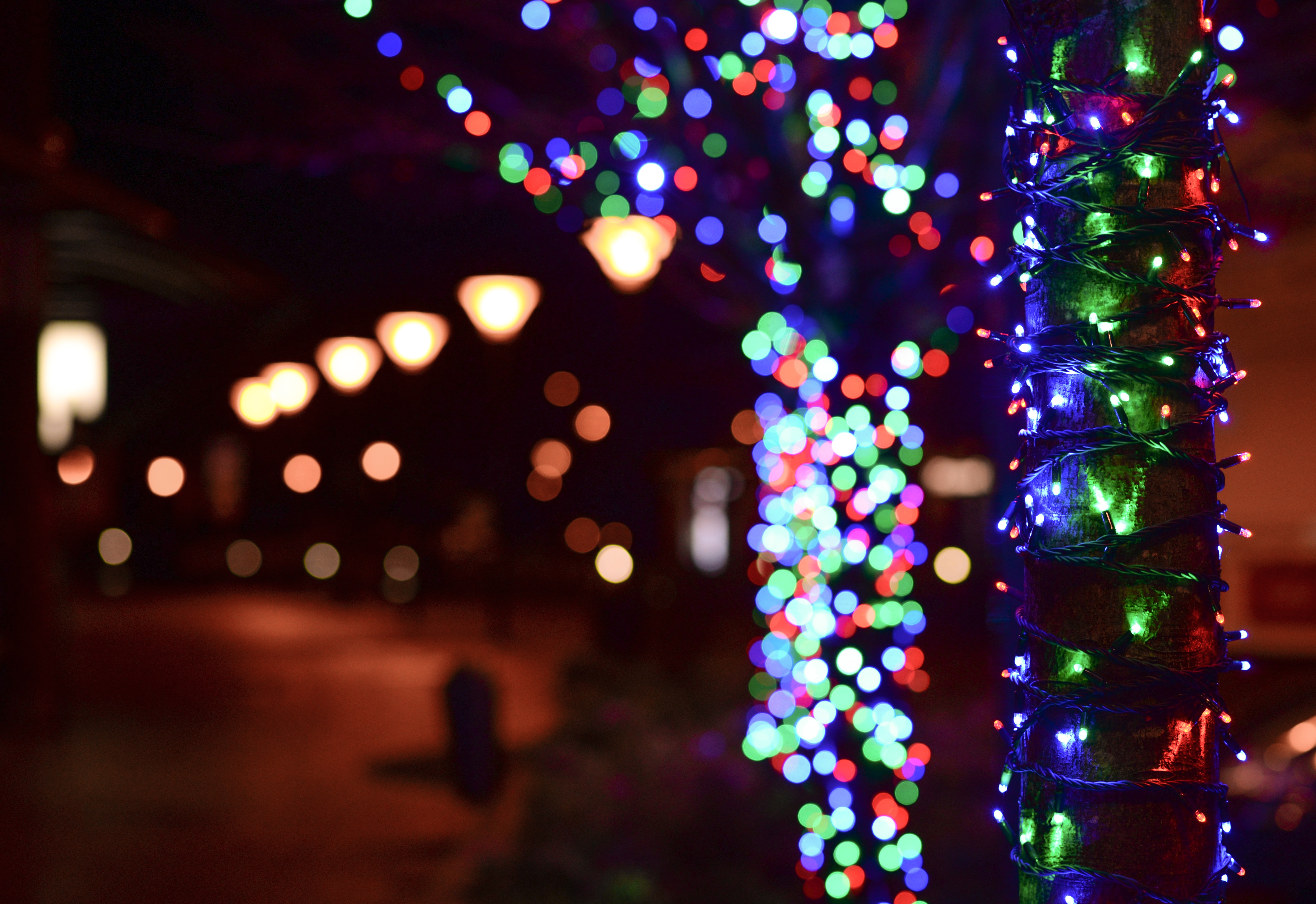 Illuminated Christmas Lights at Night, Blur, Glisten, Street, Shiny, HQ Photo
