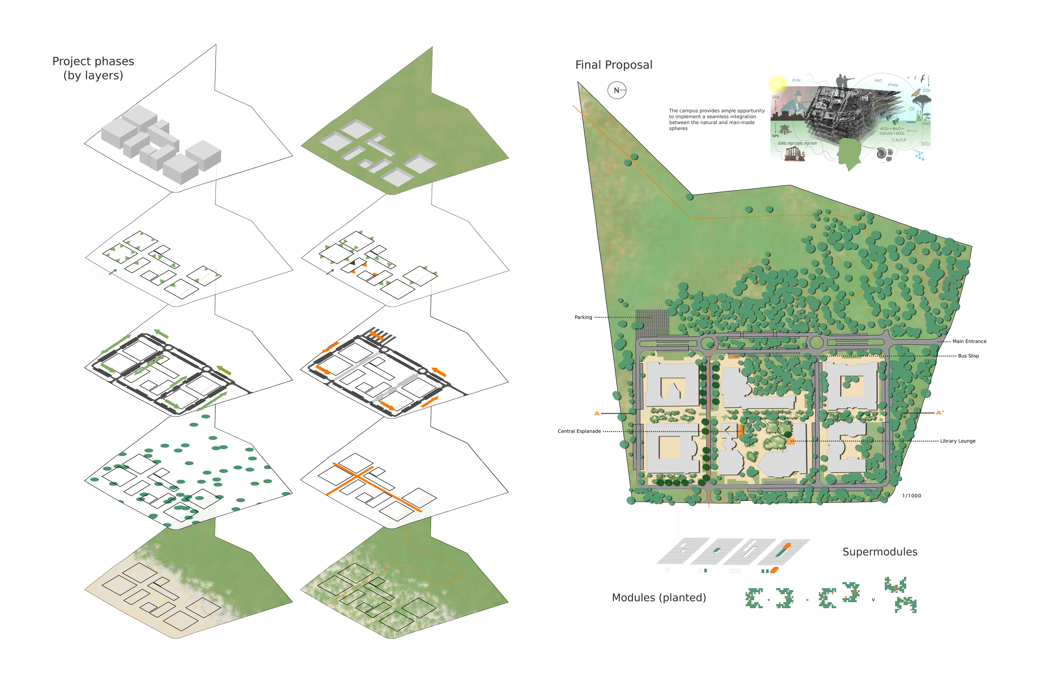 Illustration of a proposal for urban design and landscape architecture, Analysis, Outline, Presentation, Planting, HQ Photo