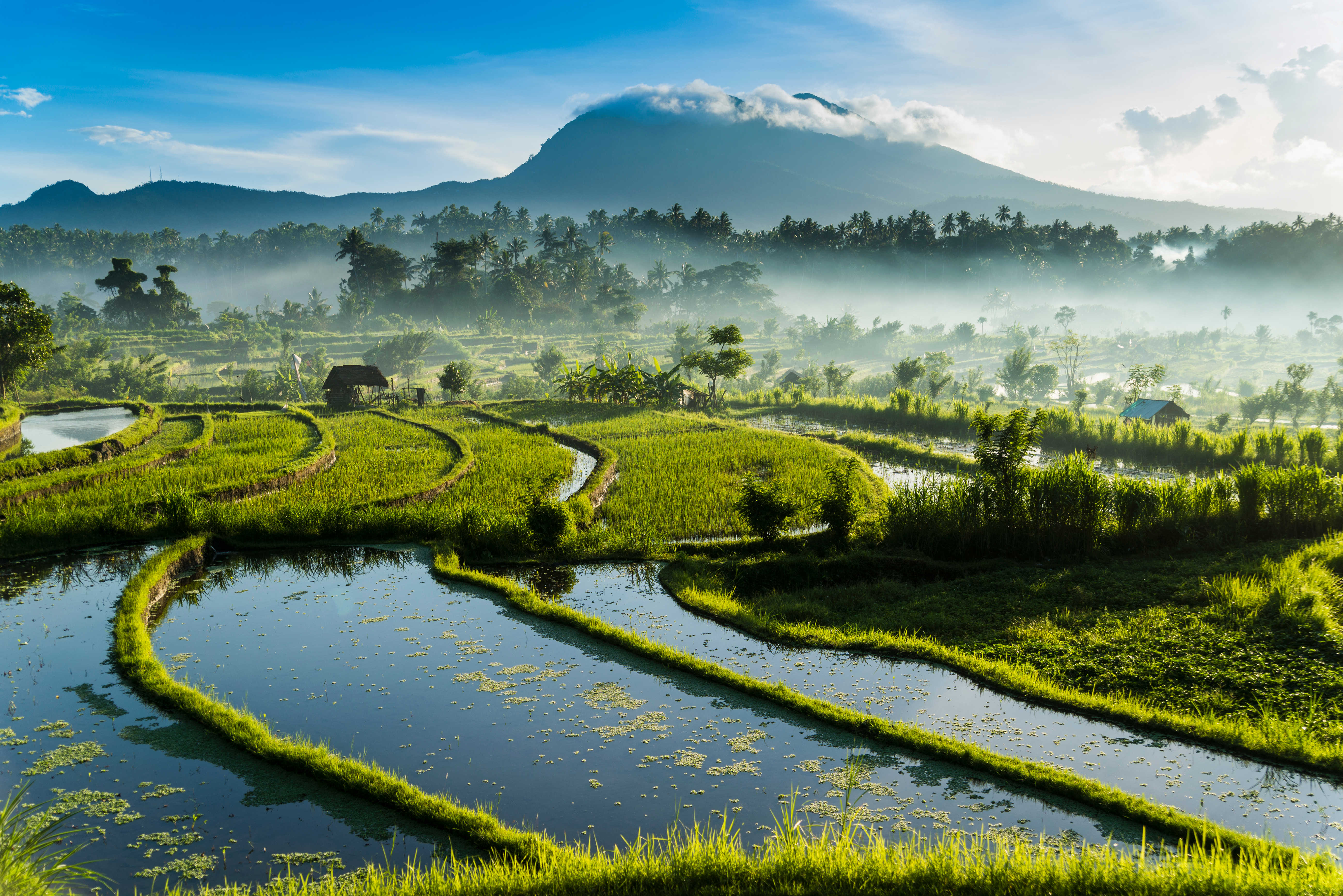 Off the tourist trail in Bali: the best less-visited spots