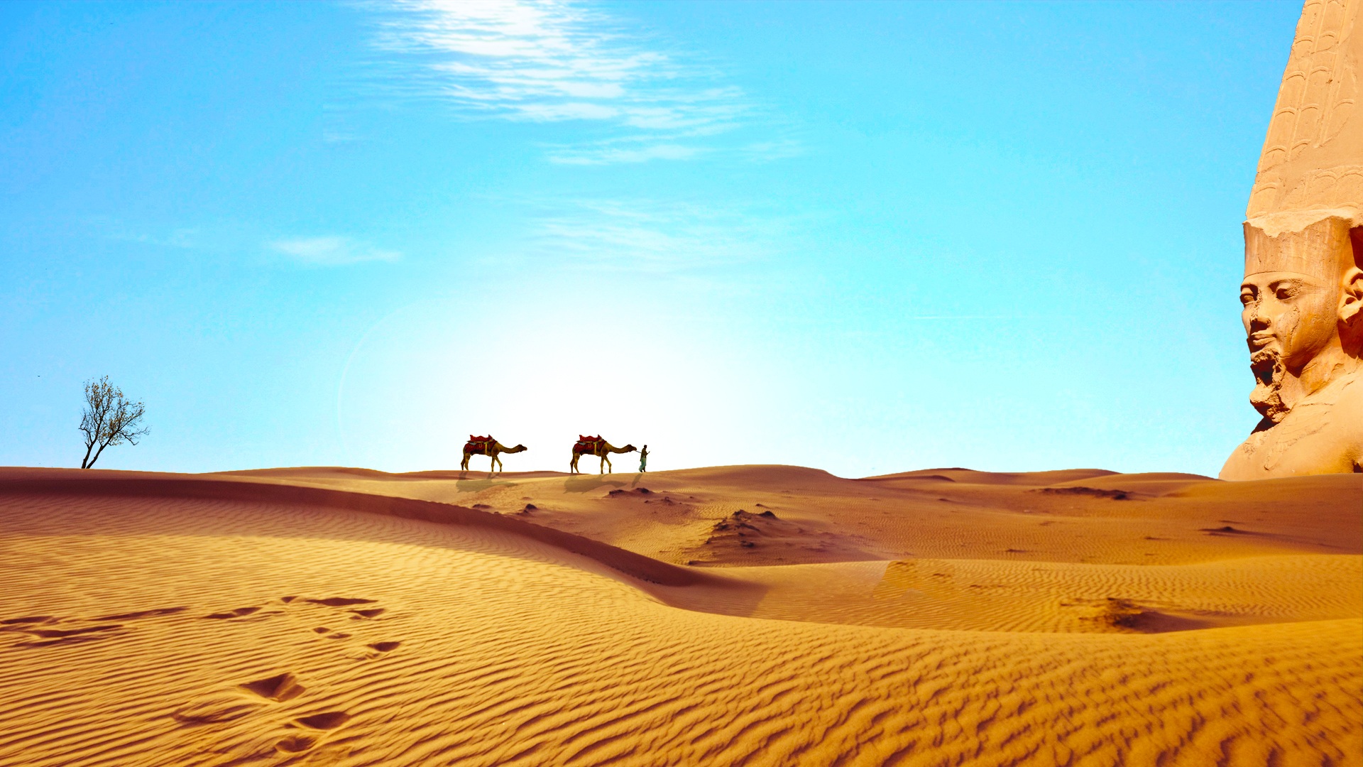 Dreaming of Sahara