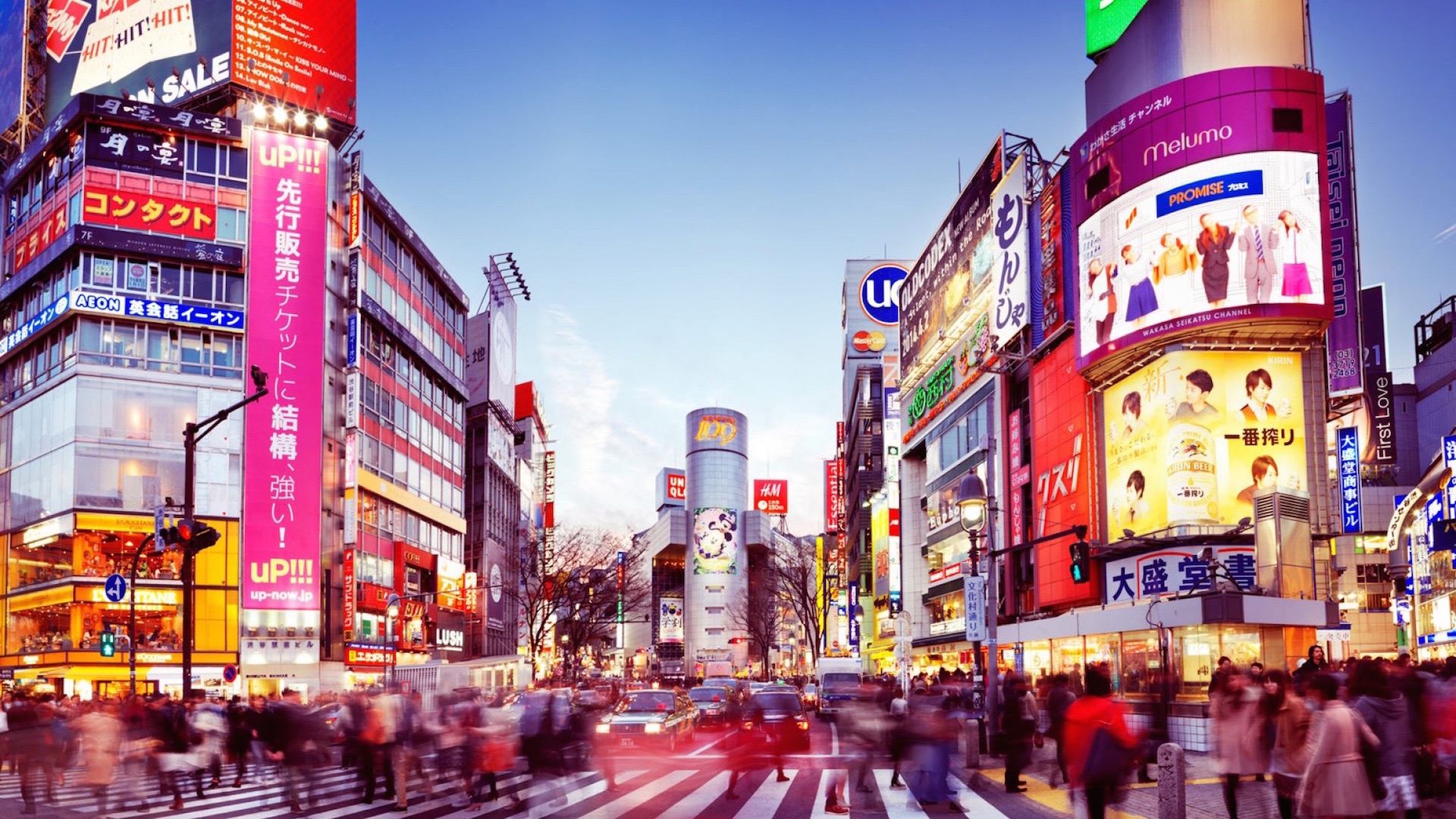 10 Best Cities to Visit in Japan in March - Blogrope