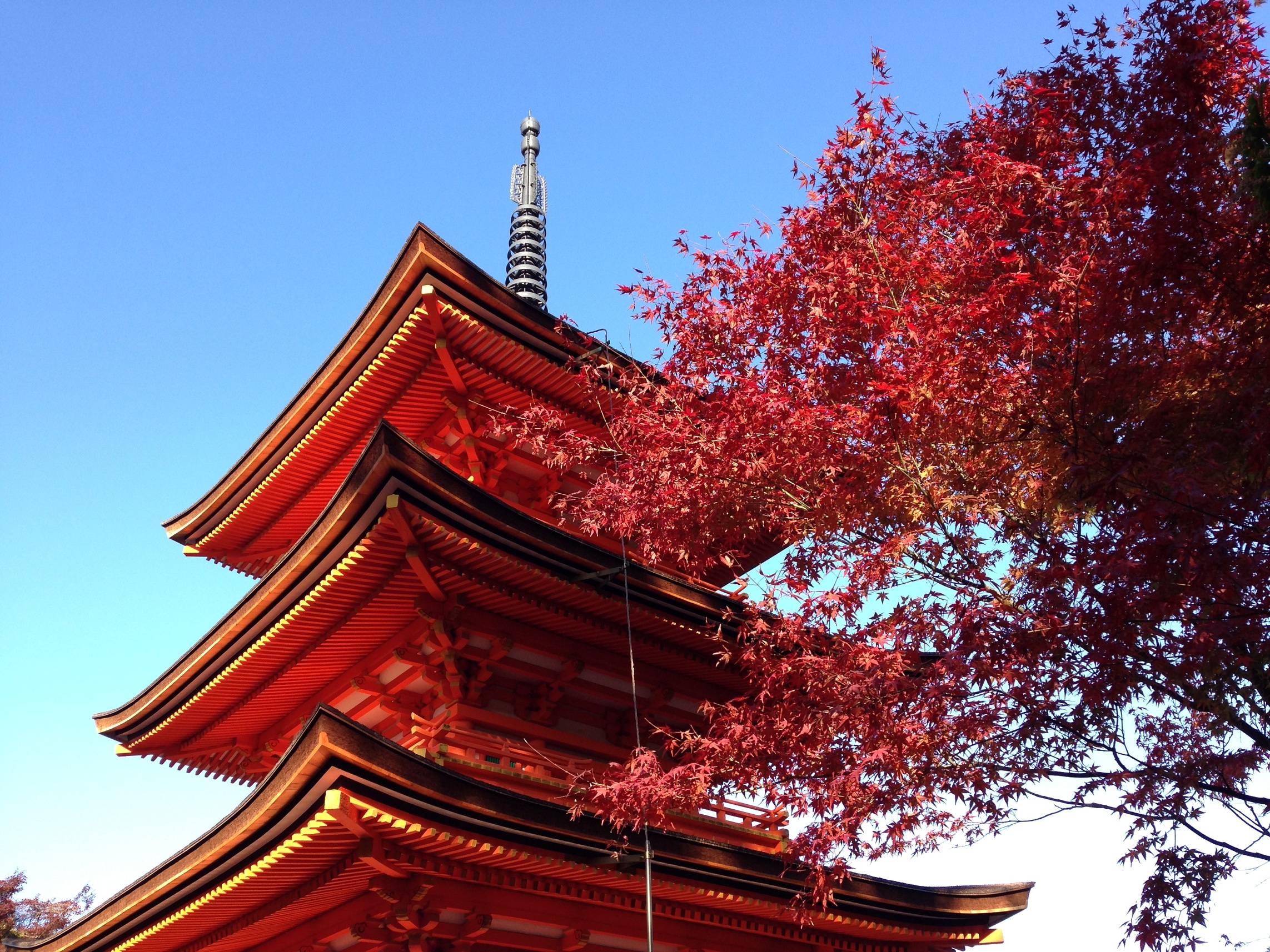 Autumn in Japan | Japanese Guest Houses