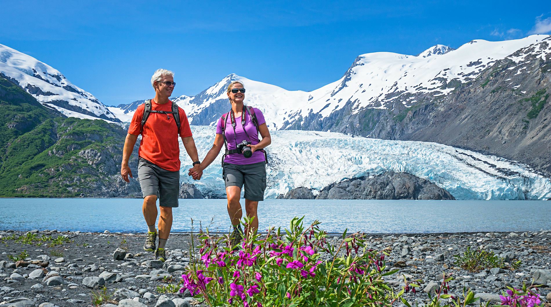 Summer Sightseeing Activities Day Tours & Cruises in Anchorage Alaska