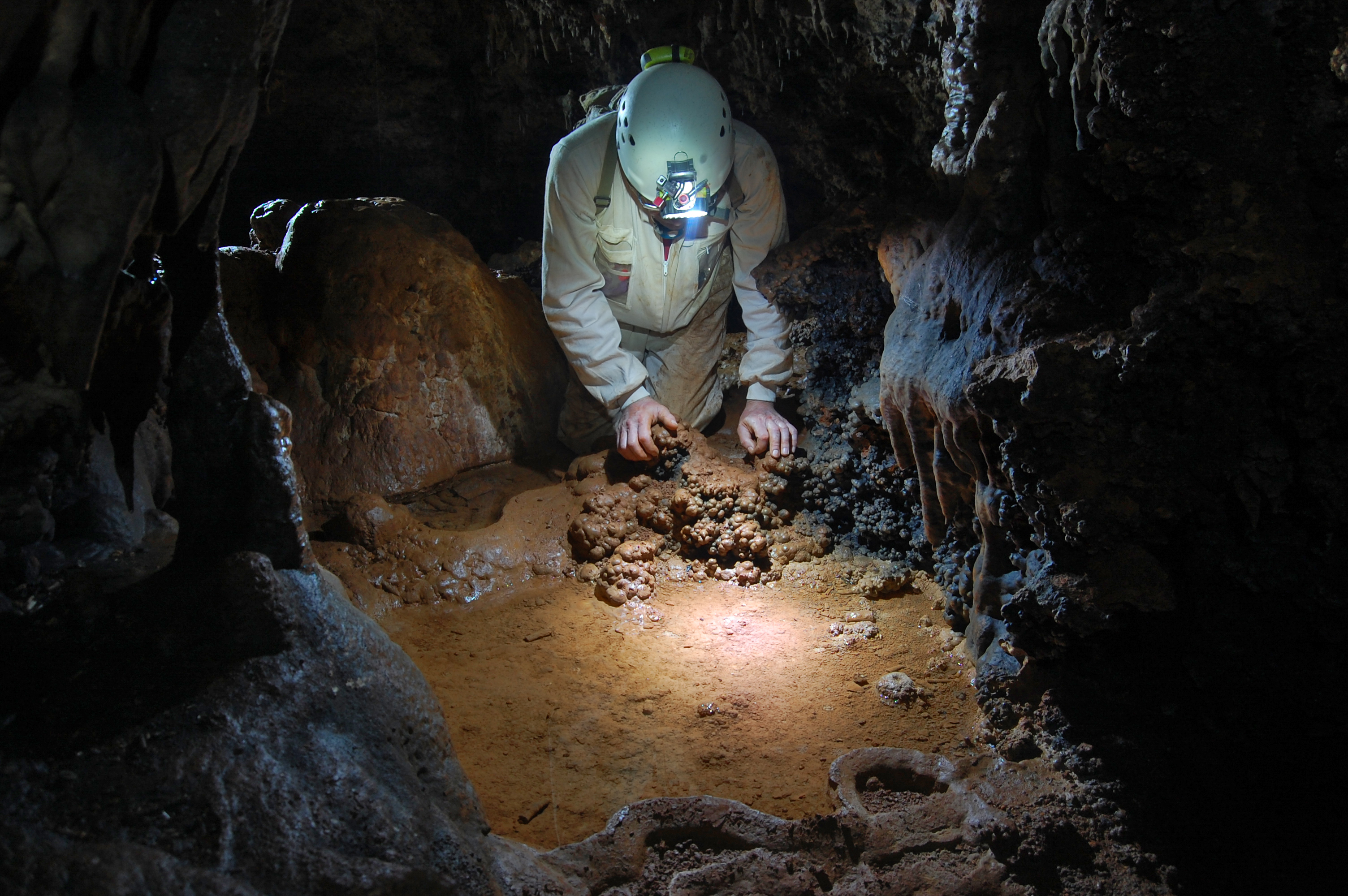 Three new arthropod species have been found in the Maestrazgo Caves ...