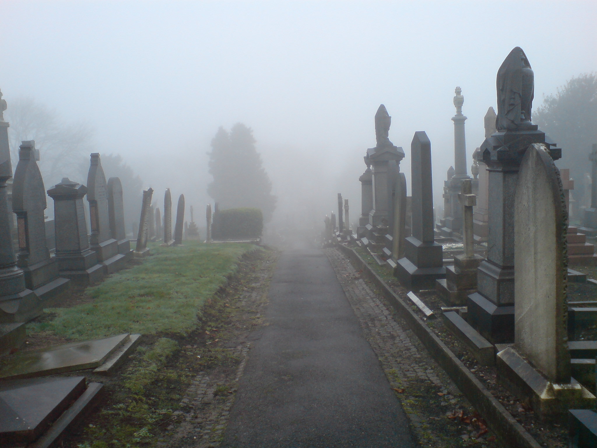 Foggy at the cemetery 8a by rudeturk on DeviantArt