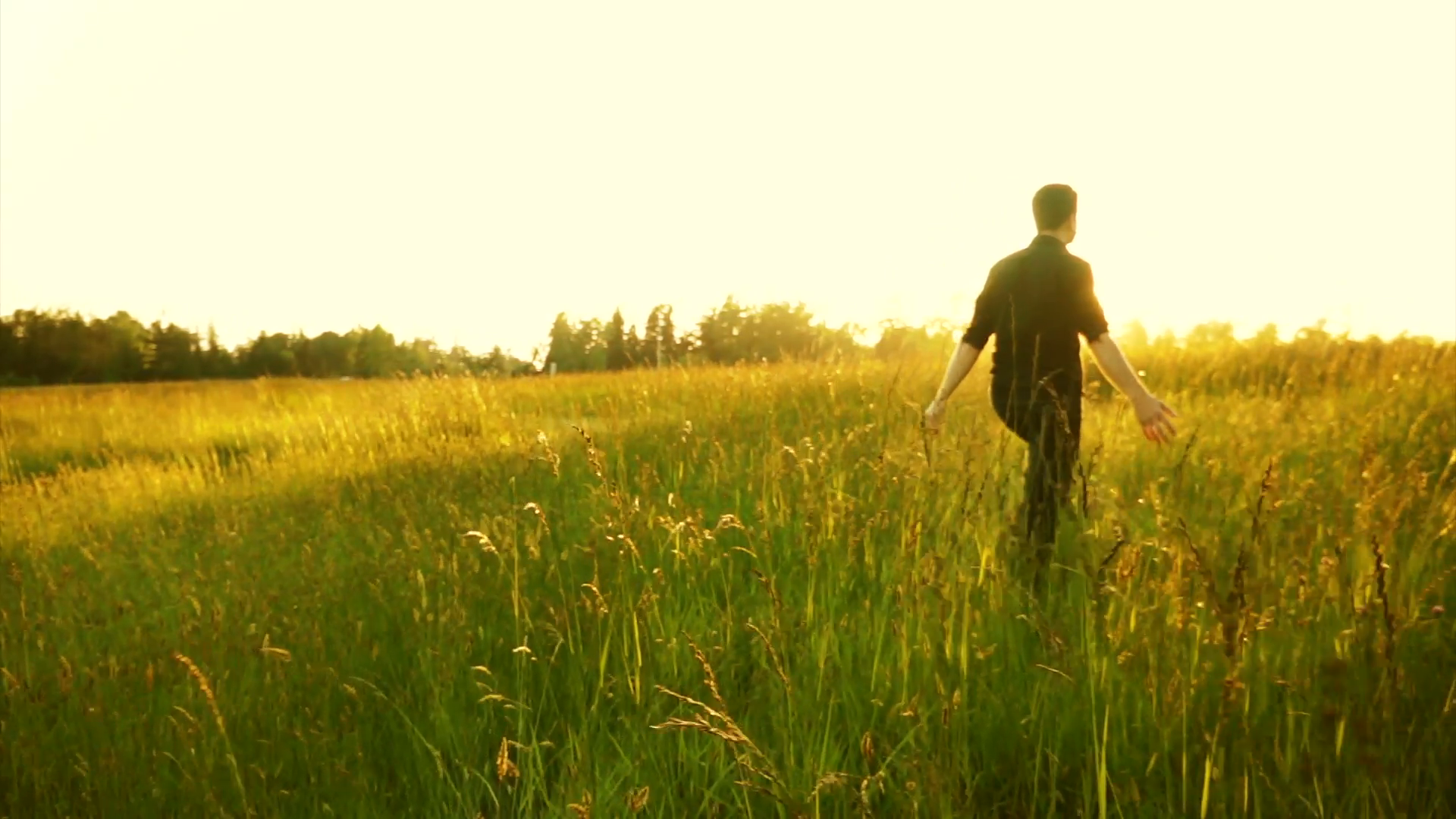 Man walking in the field with the tall grass. Stock Video Footage ...