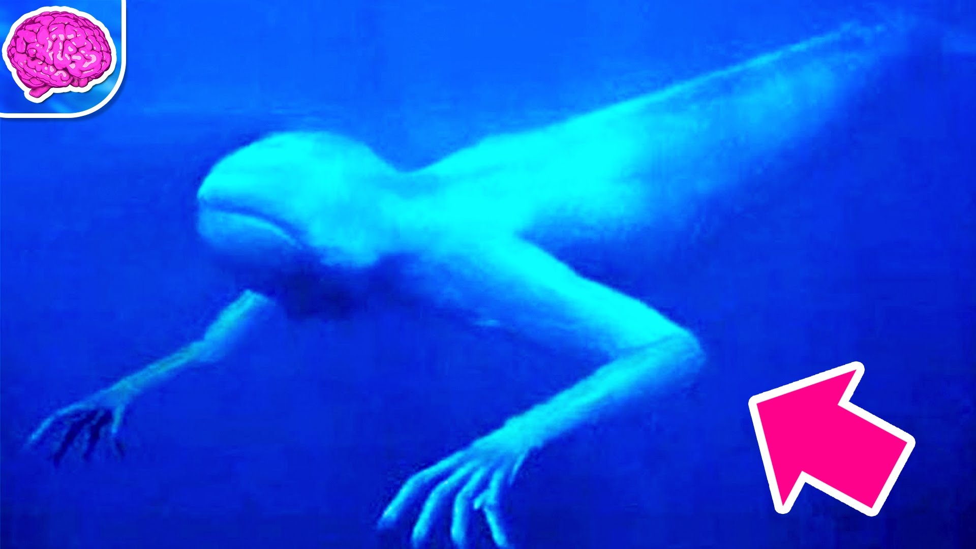7 Most Terrifying Animals Of The Deep Ocean - YouTube