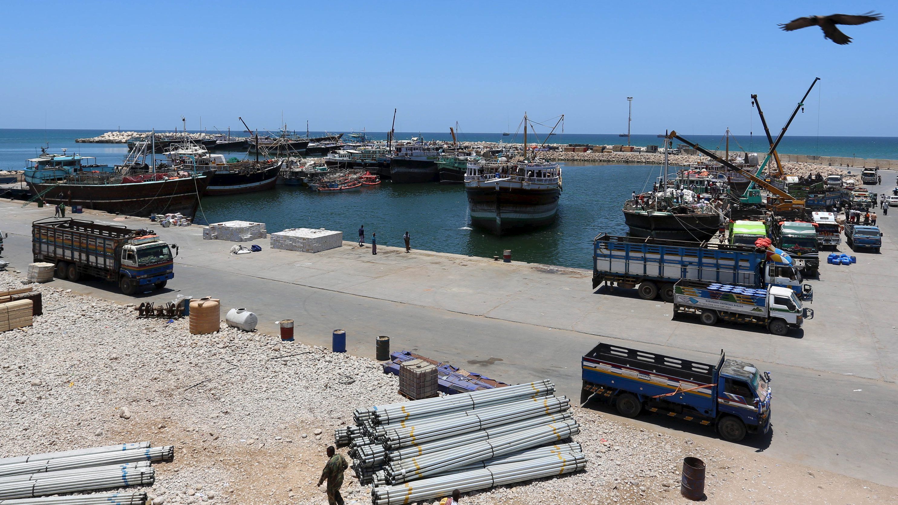 In Somalia and Eritrea, the United Arab Emirates is expanding its ...