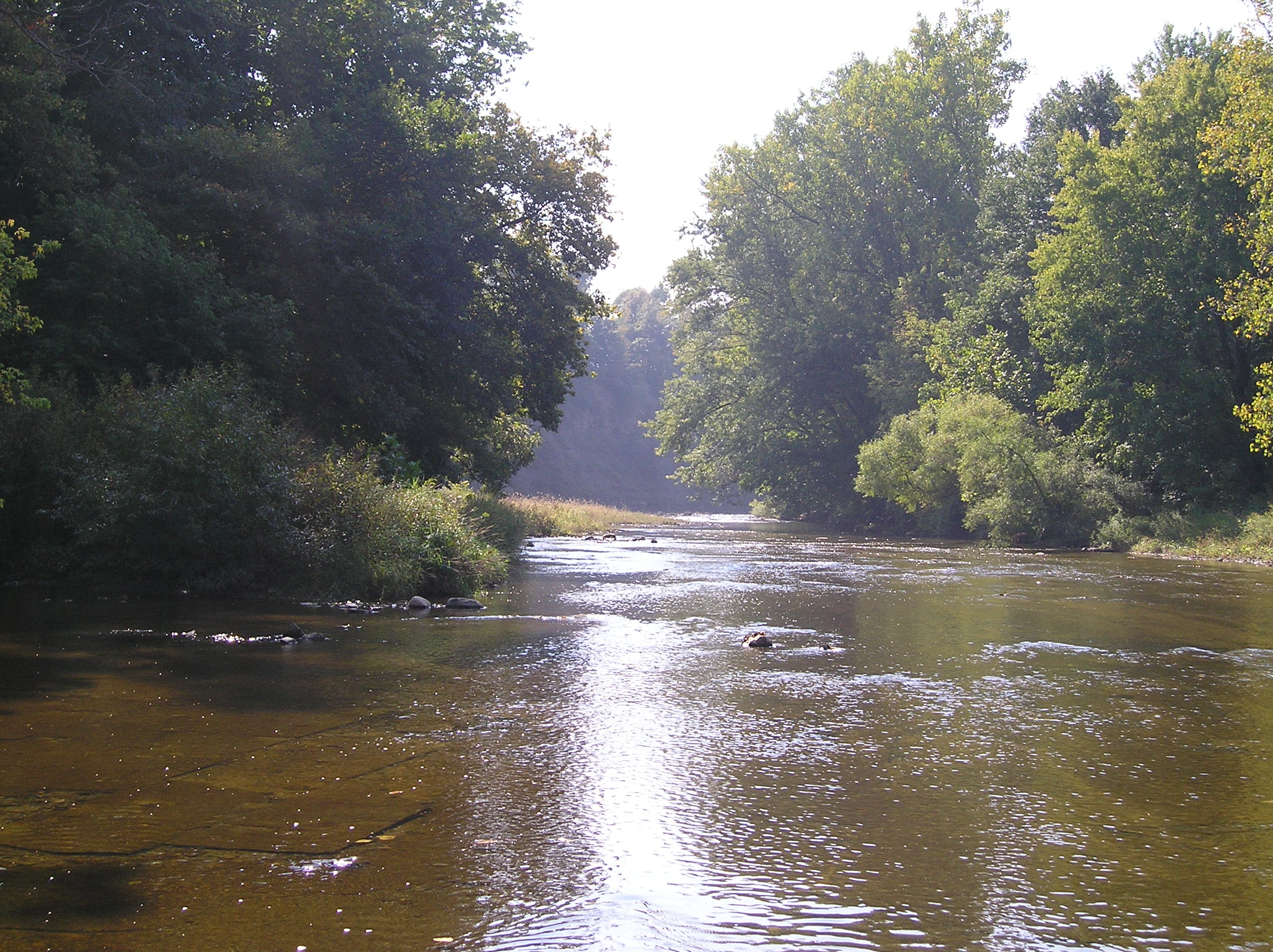 In the river photo