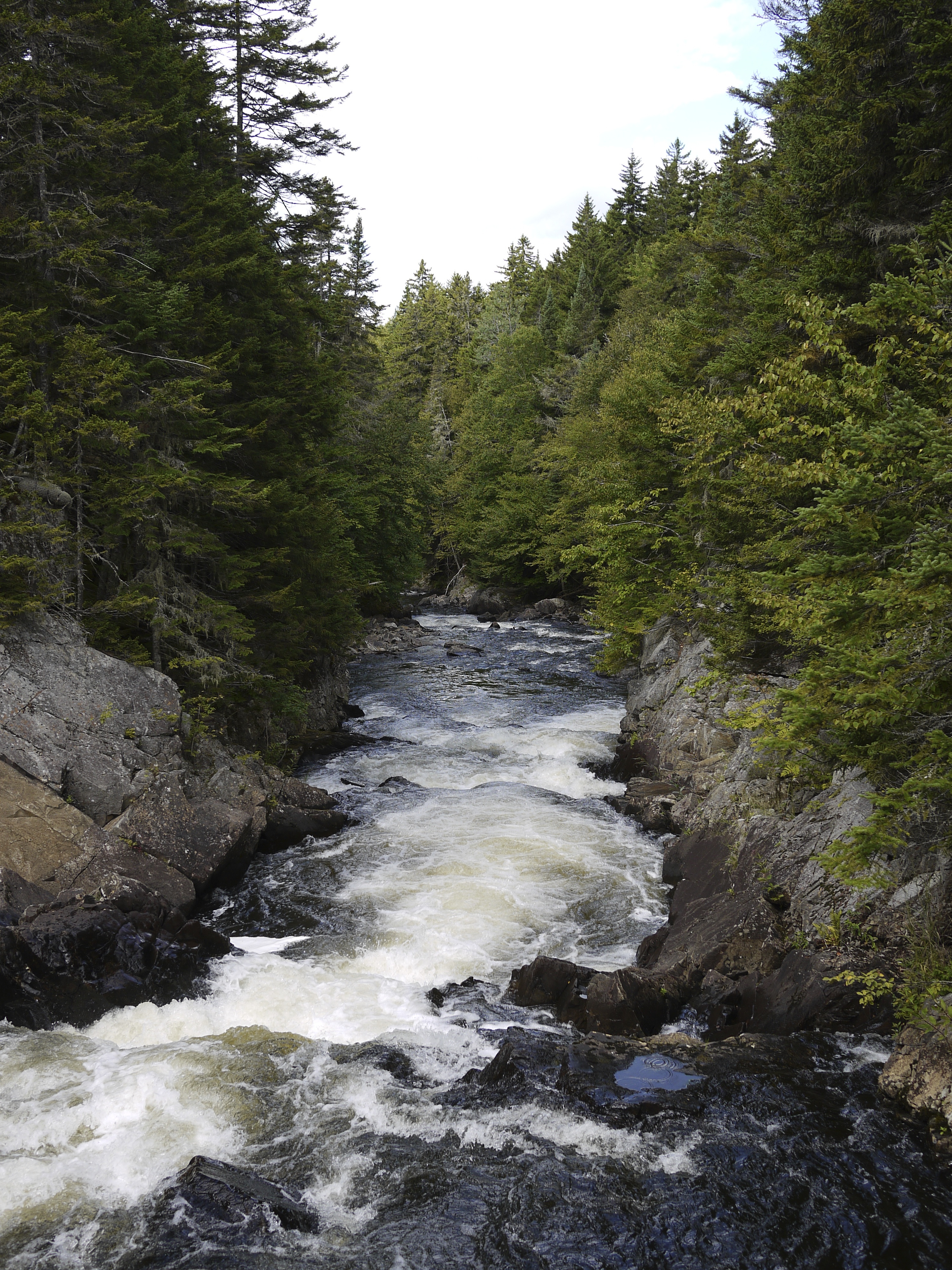 Falls in the River Trail – A Connecticut Girl Discovers the North of ...