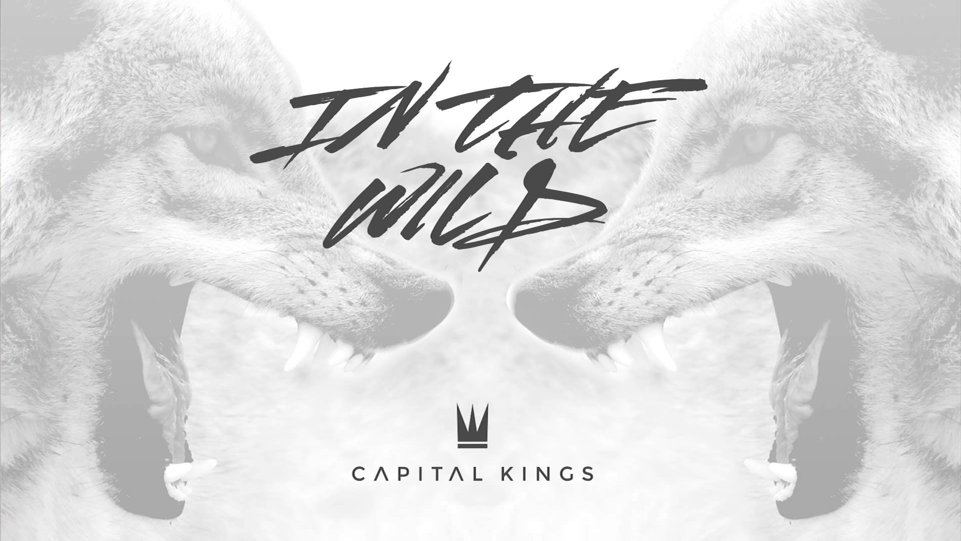 Capital Kings - In The Wild (Official Audio) - YouTube