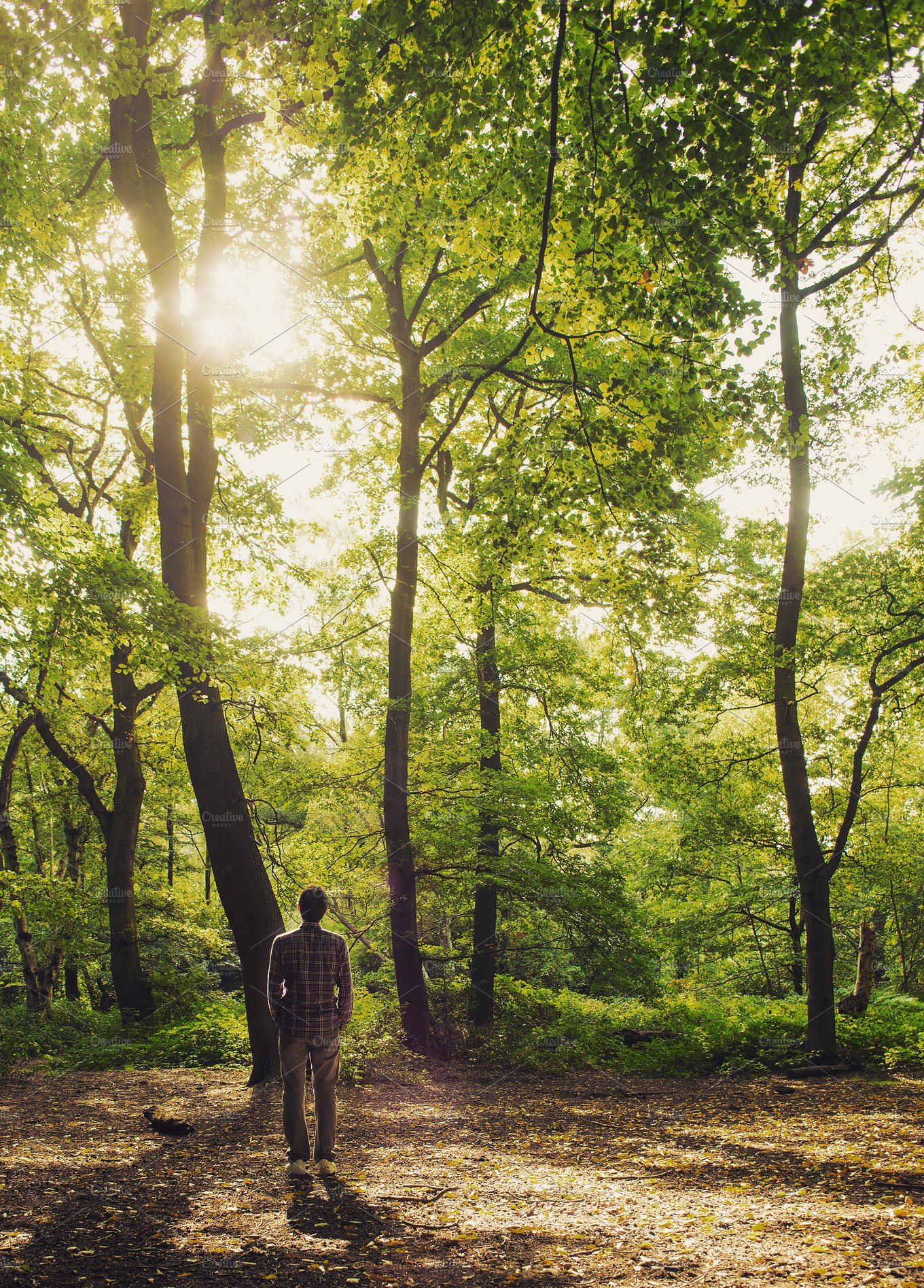Man standing in the woods at sunset ~ Nature Photos ~ Creative Market