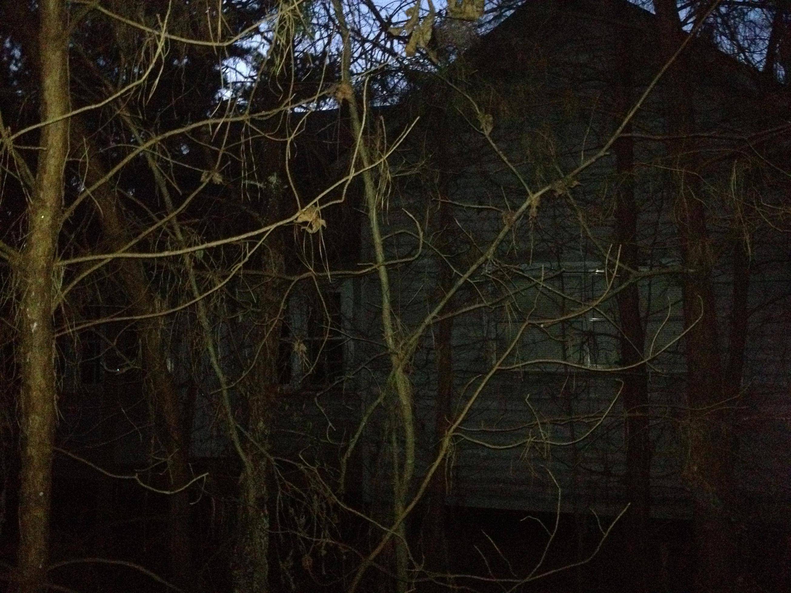 Creepy House I Found in the Woods | Creepypasta Wiki | FANDOM ...