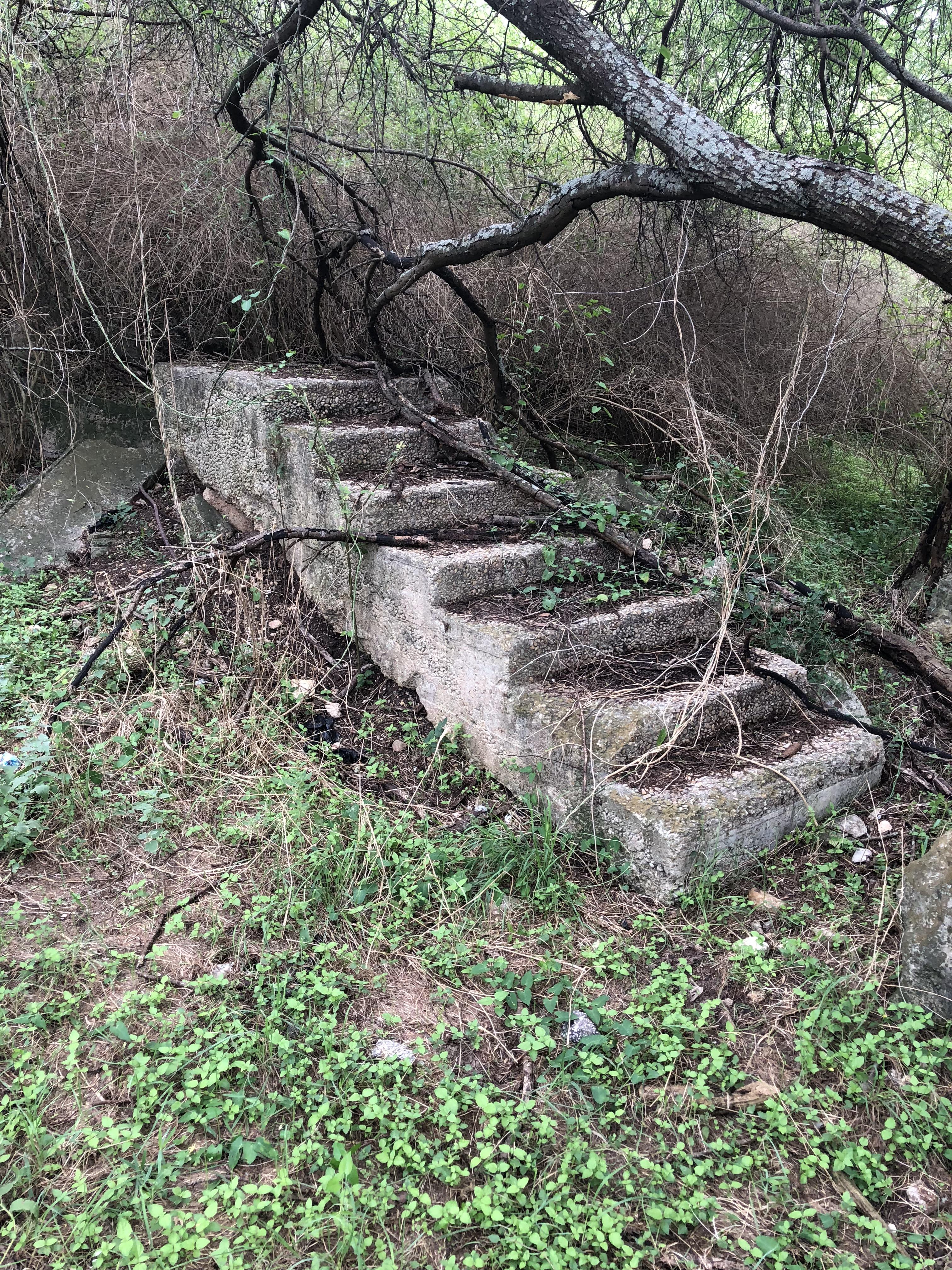 I found a staircase in the woods : mildlyinteresting