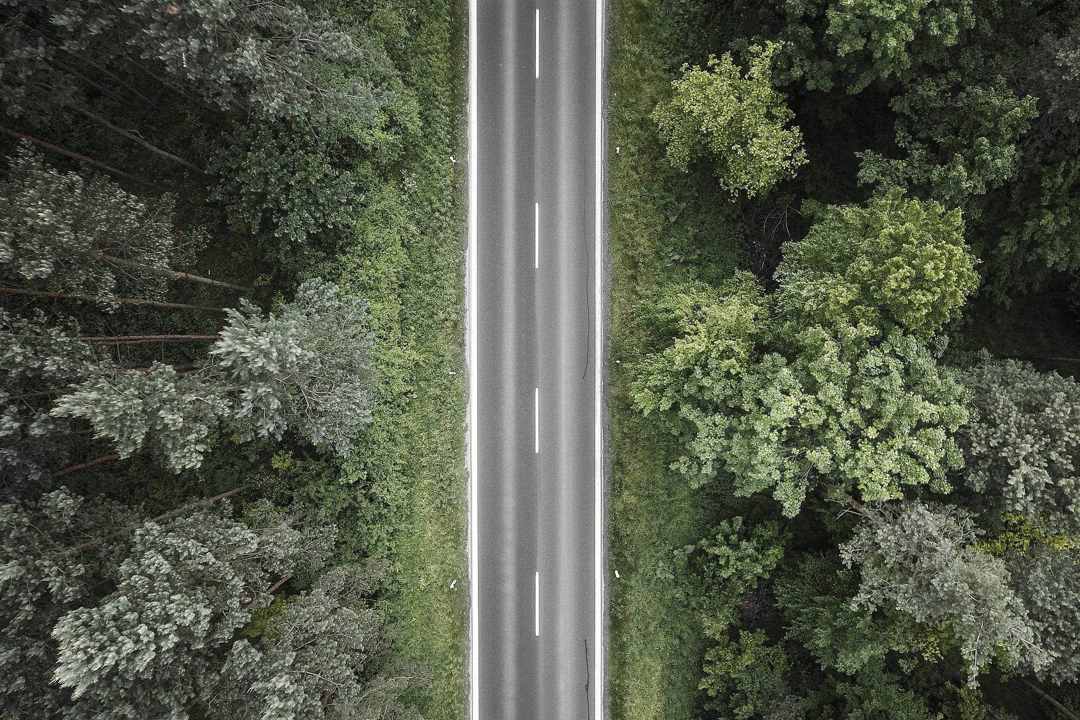 Lonely Road in the Woods Aerial Free Stock Photo Download | picjumbo