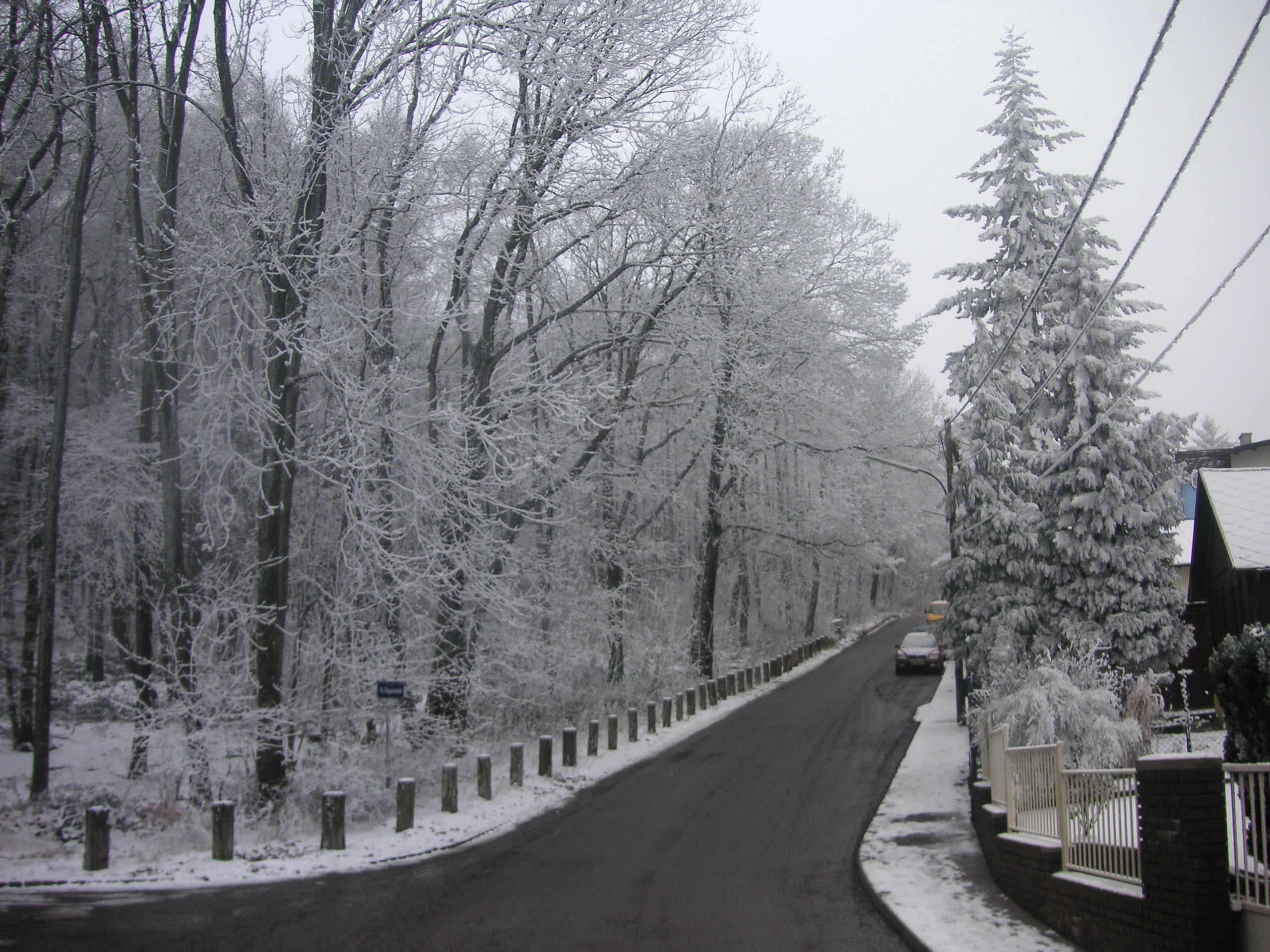 File:Vienna Woods in winter.jpg - Wikimedia Commons