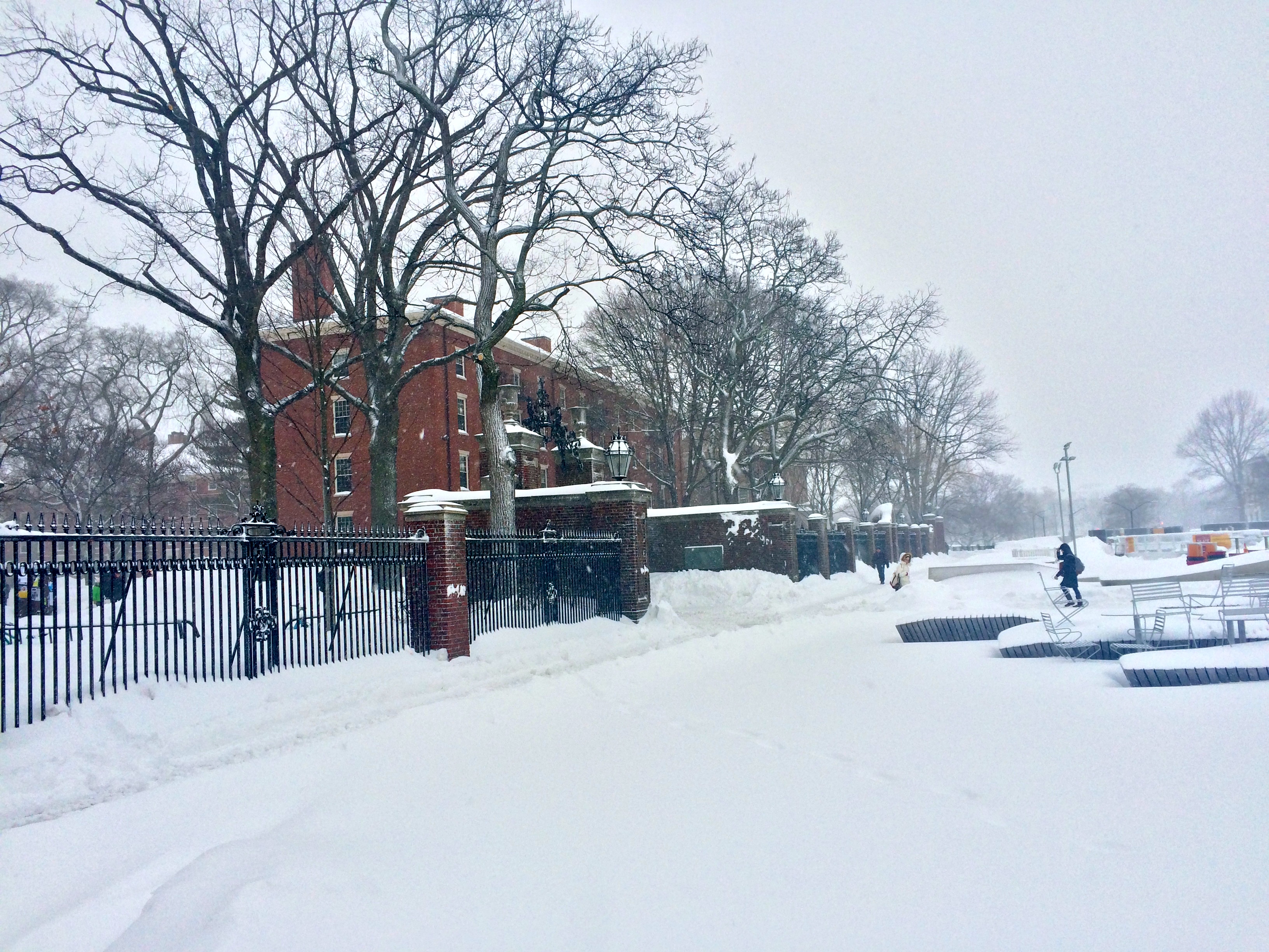 10 Reasons Winter at Harvard is Actually Awesome | Harvard College