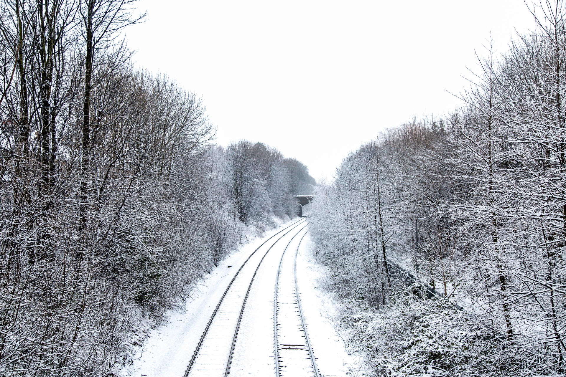 Train Tracks In Winter Free Stock Photo - Public Domain Pictures
