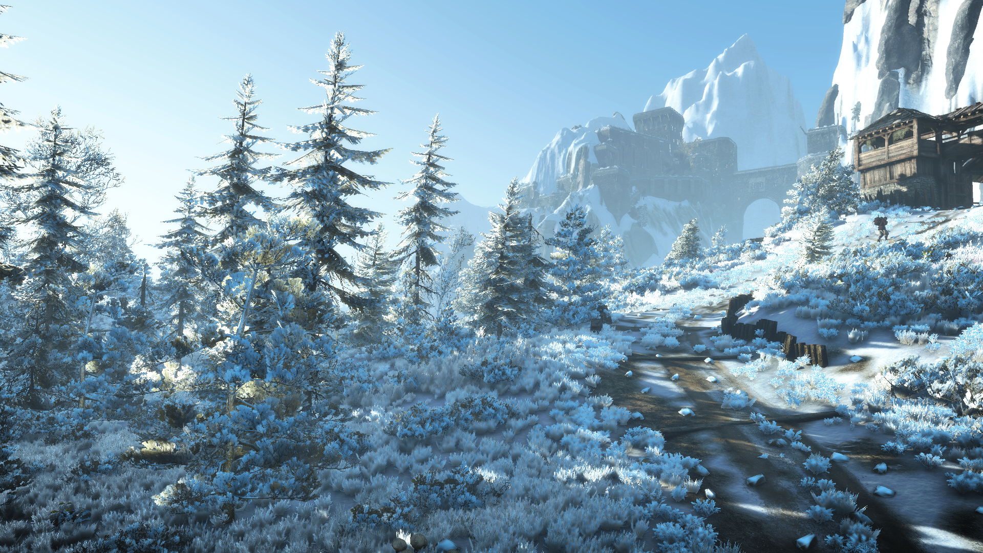 Skellige in winter is beautiful : witcher