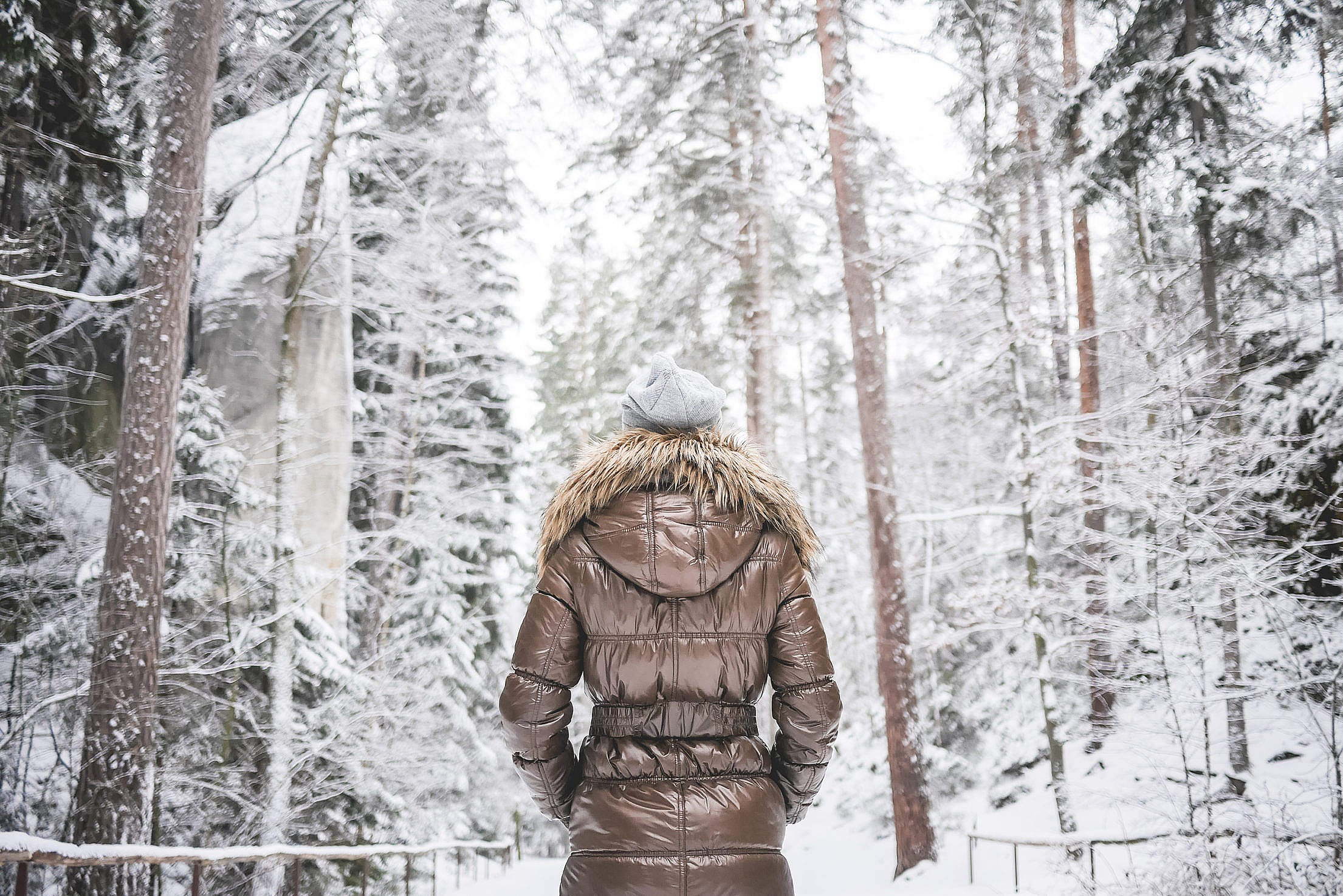 Girl in Winter Jacket Walking in Snowy Forest Free Stock Photo ...