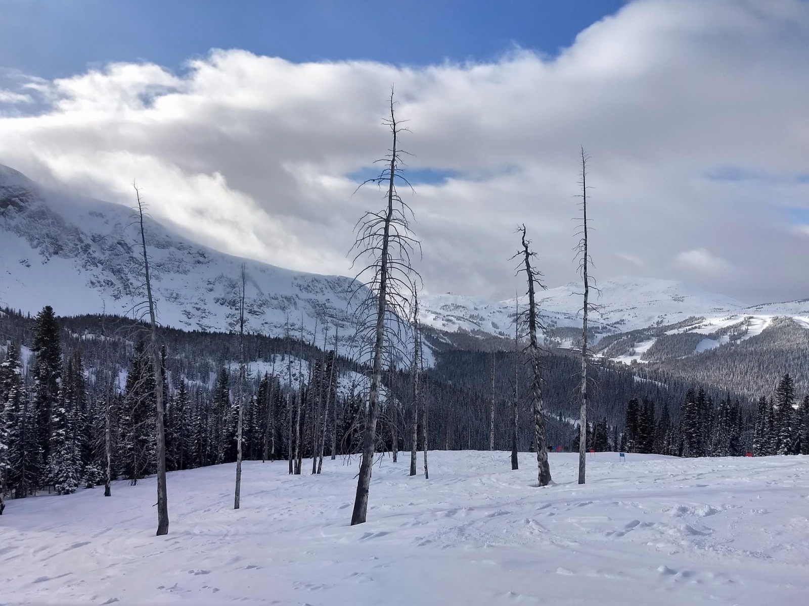 Top 8 things to do with the Family in Banff in Winter