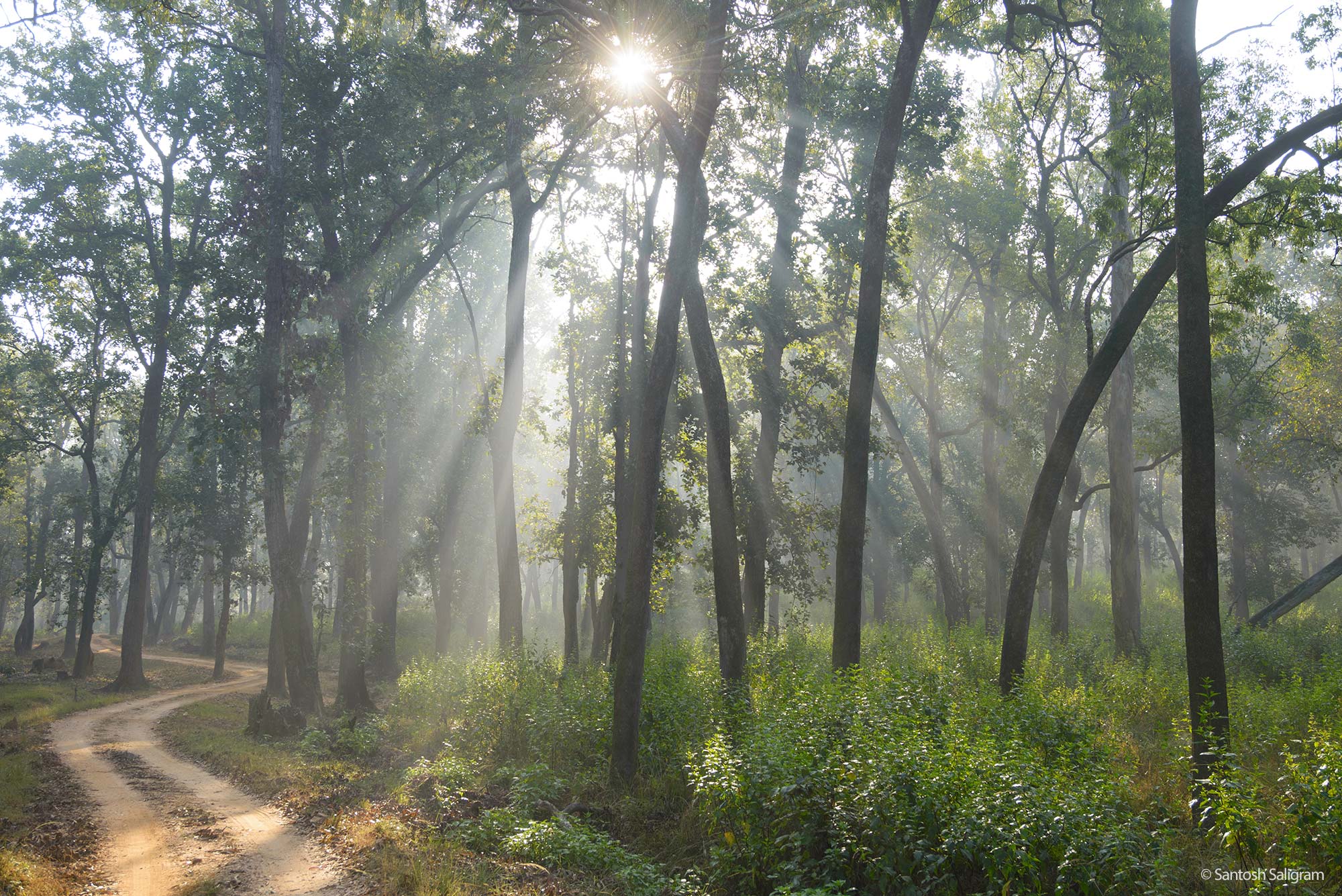 The Geography of Freedom: India's Amazing Natural Habitats