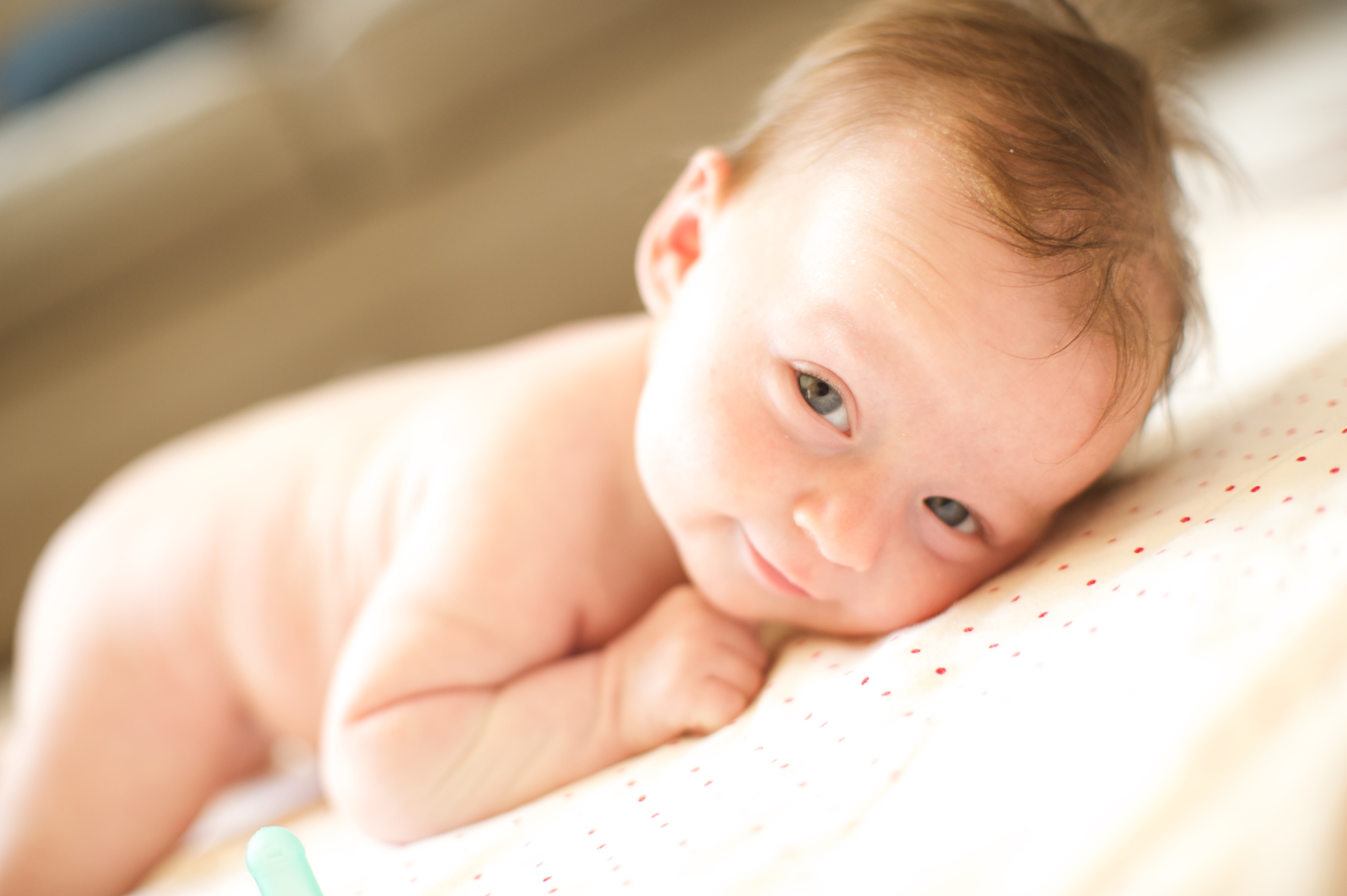 Infant Portraits | Andy Shelter Photography & Video