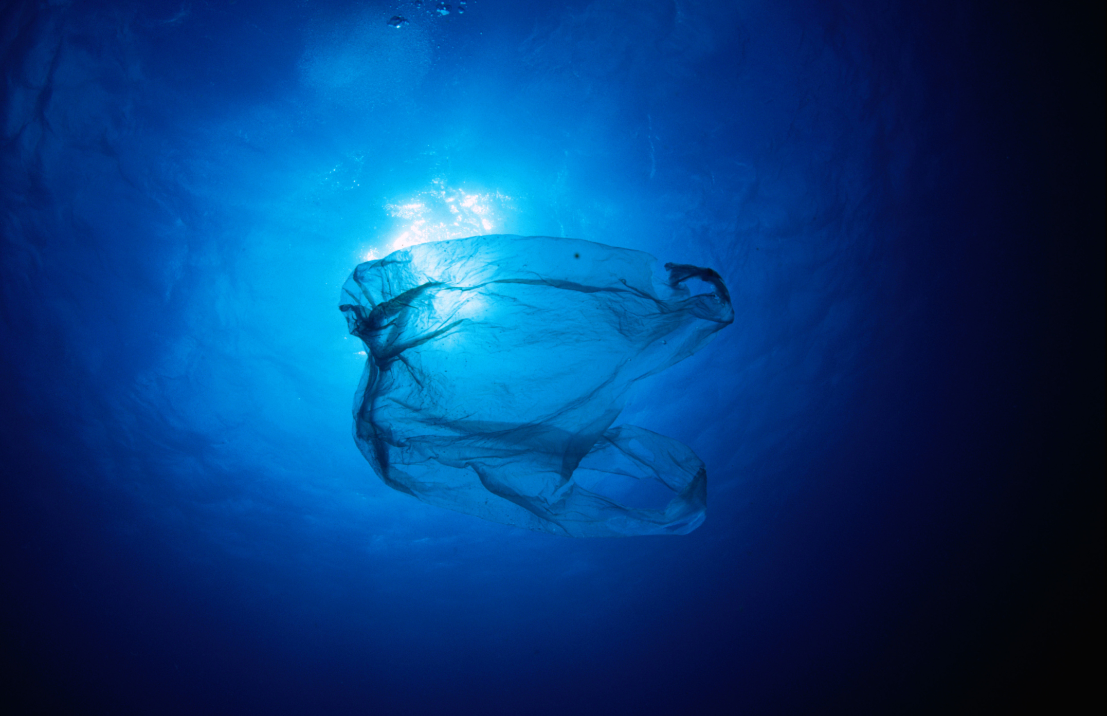 Plastic Takes Over the Oceans - DNV GL Blog - Sustainability