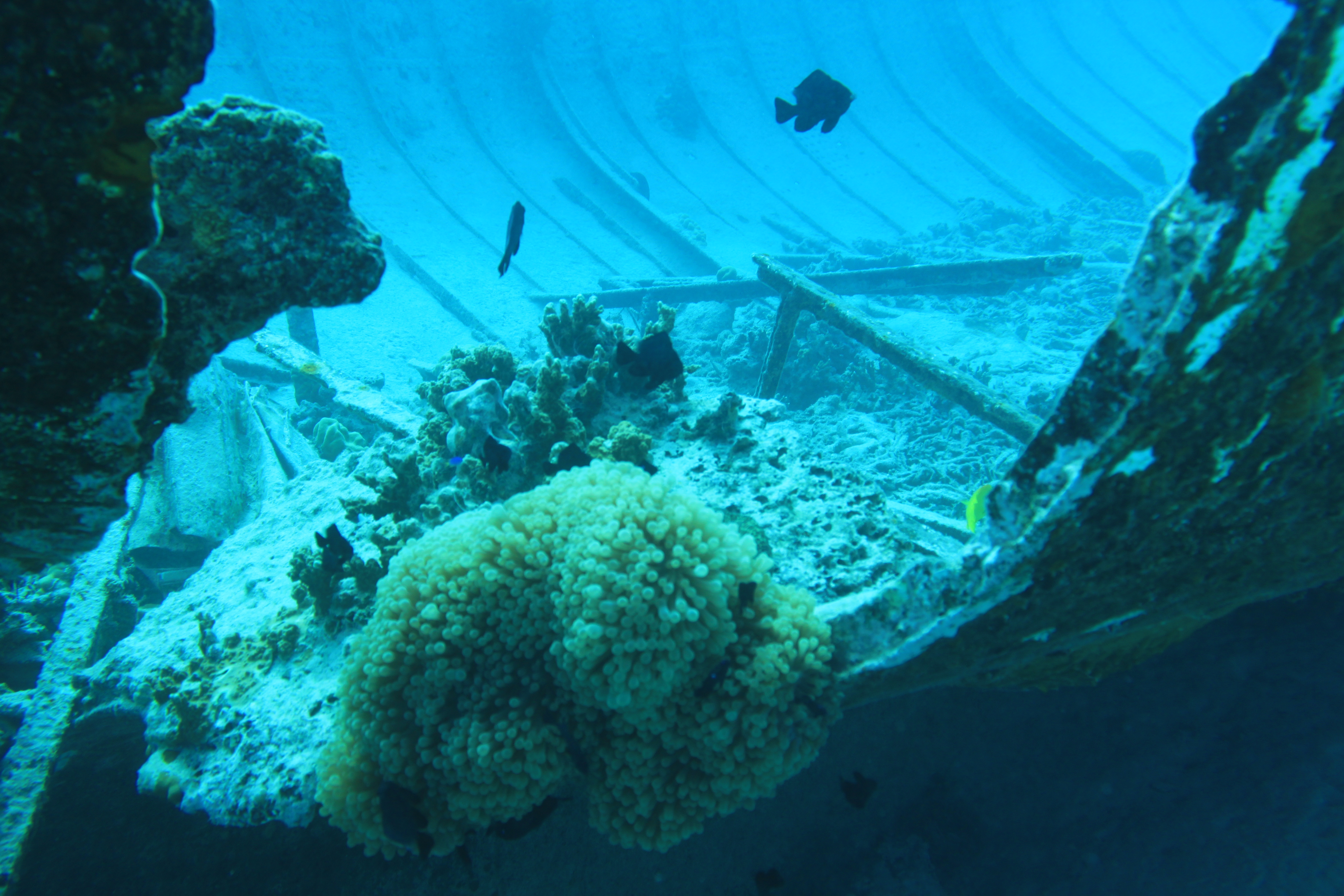 Tahiti – inside a wreck | Aki's Blog