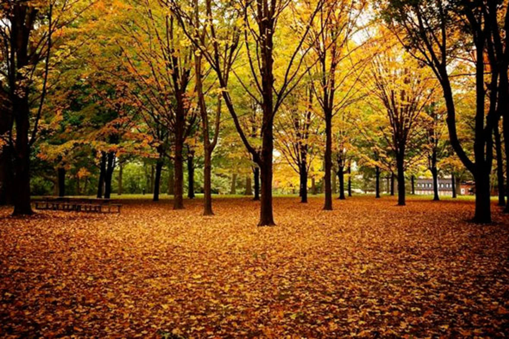 41 things to do this fall in Toronto
