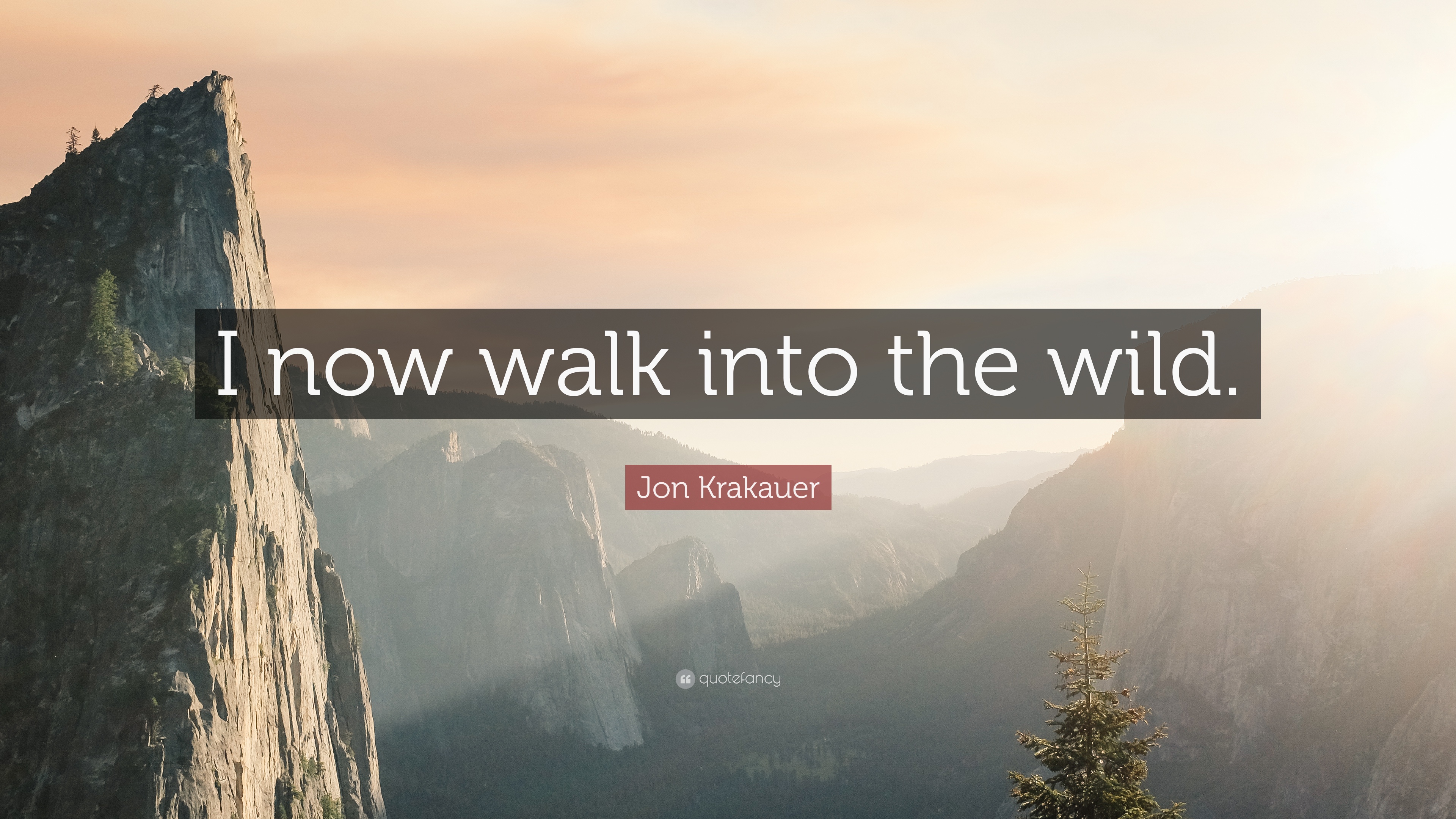 Jon Krakauer Quote: “I now walk into the wild.” (12 wallpapers ...