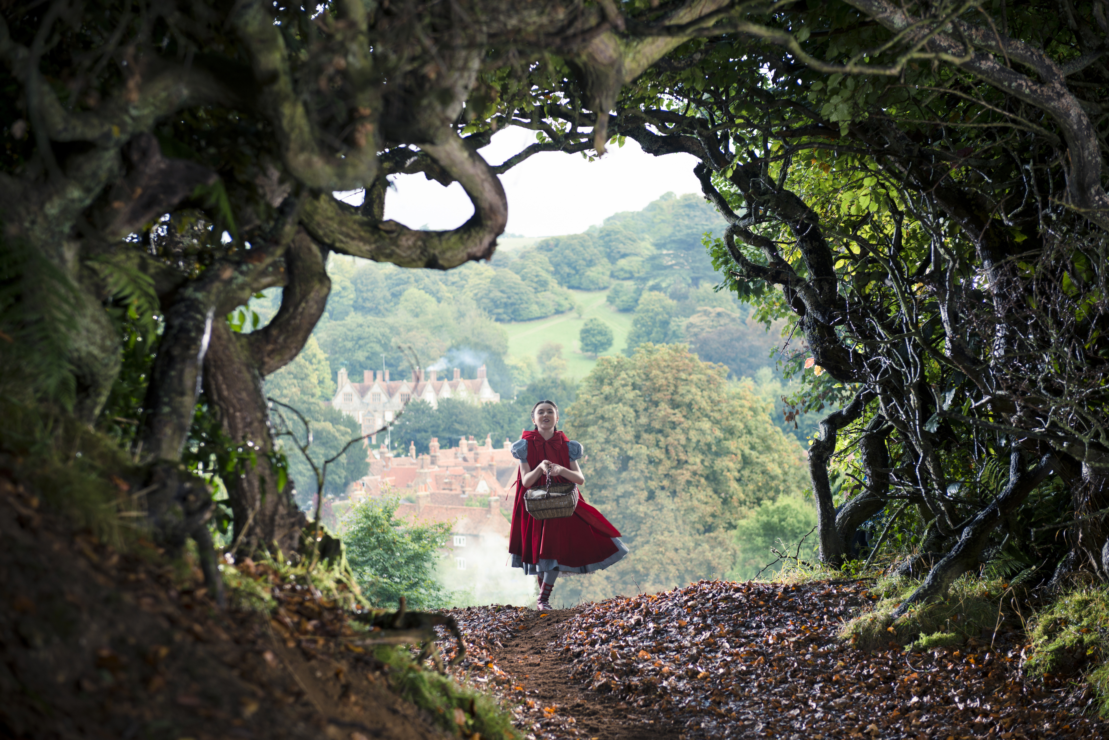 Into the Woods | Disney Movies