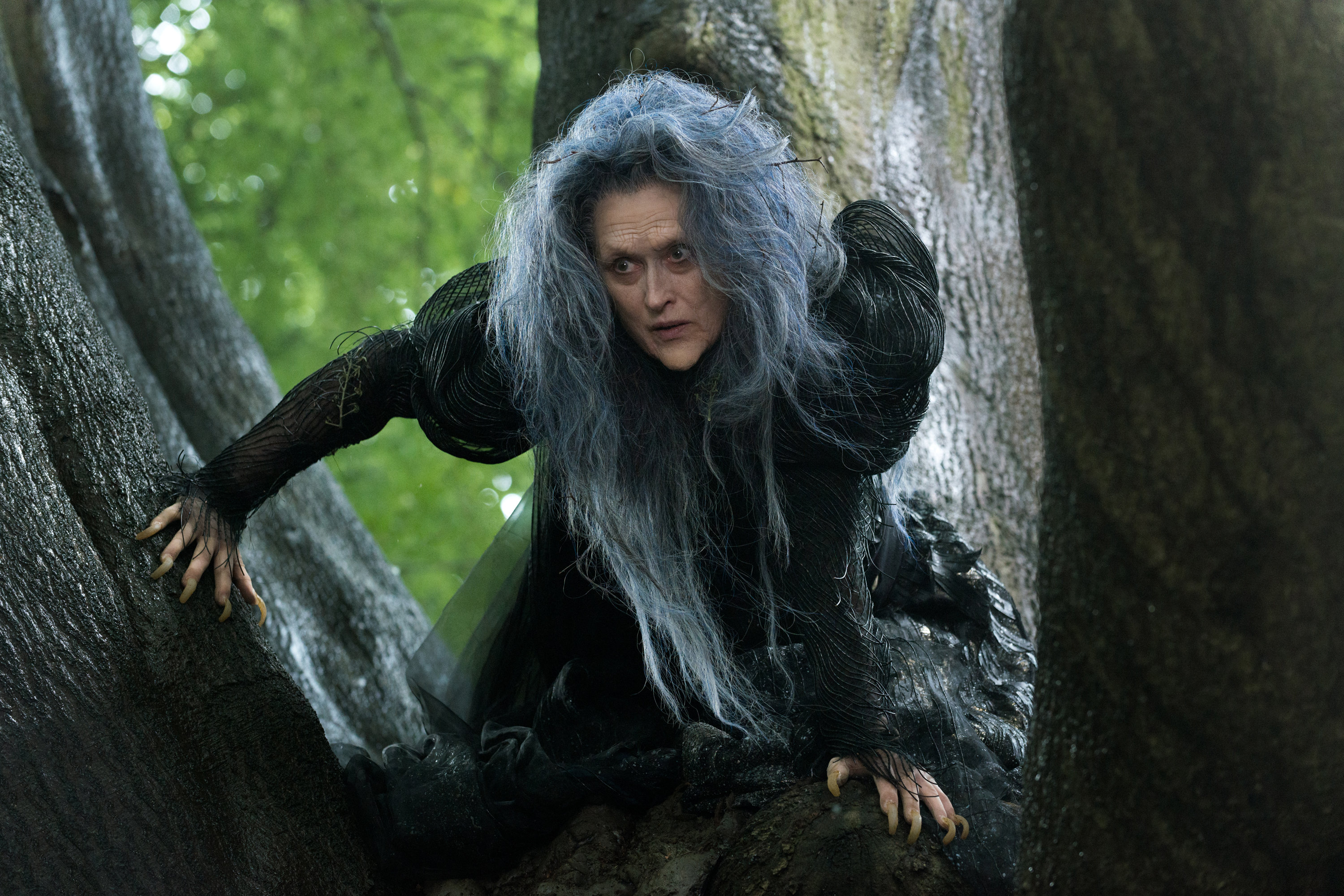 Into the Woods Gets 3 Oscar Nominations Including Costume Design ...