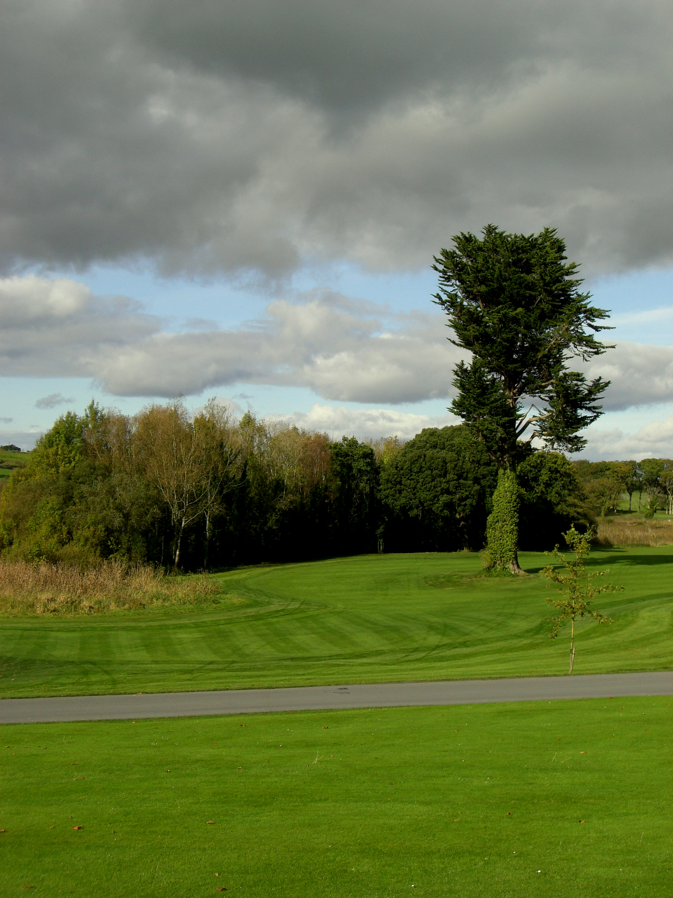 Ireland - golf course photo