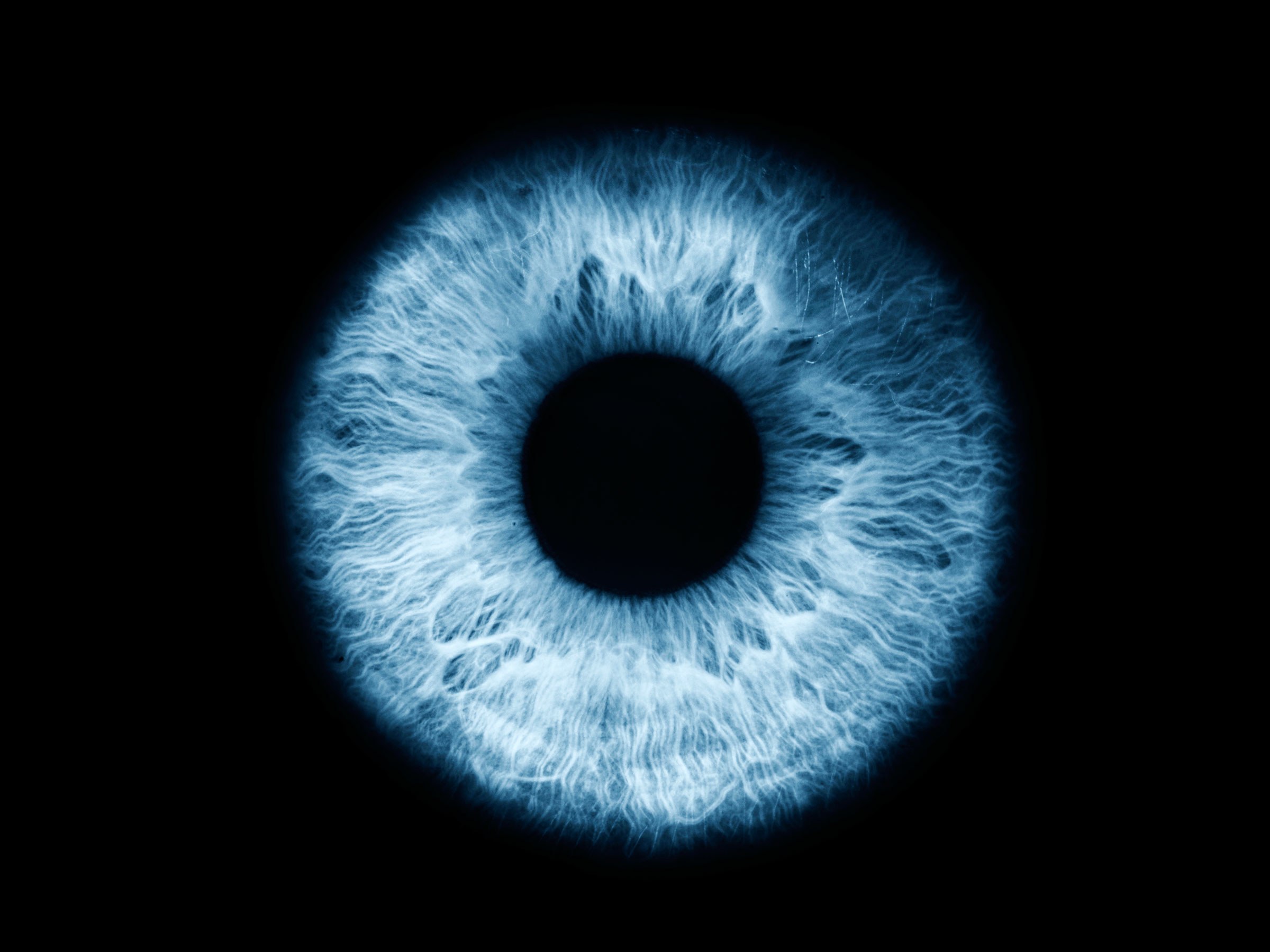 Iris Scans Come to Nursing Homes. Next Stop, Your Phone | WIRED