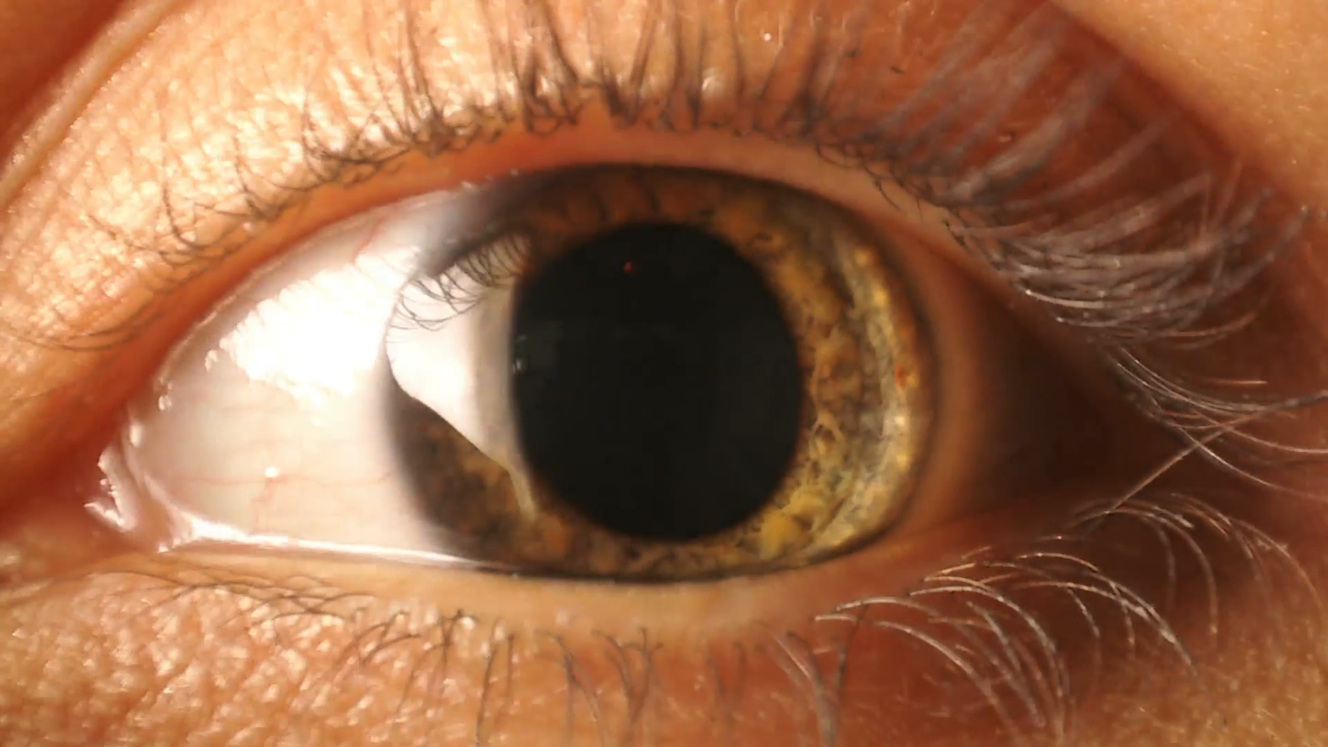 Eyes of woman, closeup of eye iris contracting Stock Video Footage ...