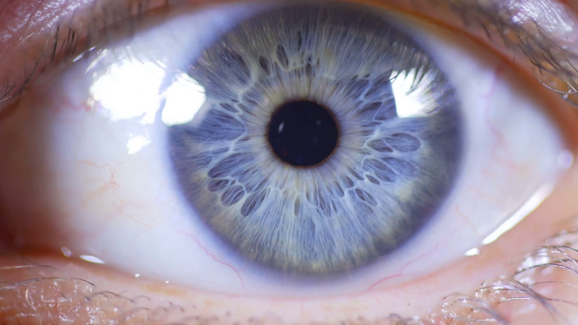 Macro Close Up Of Female Eye Showing Pupil And Iris Stock Video ...