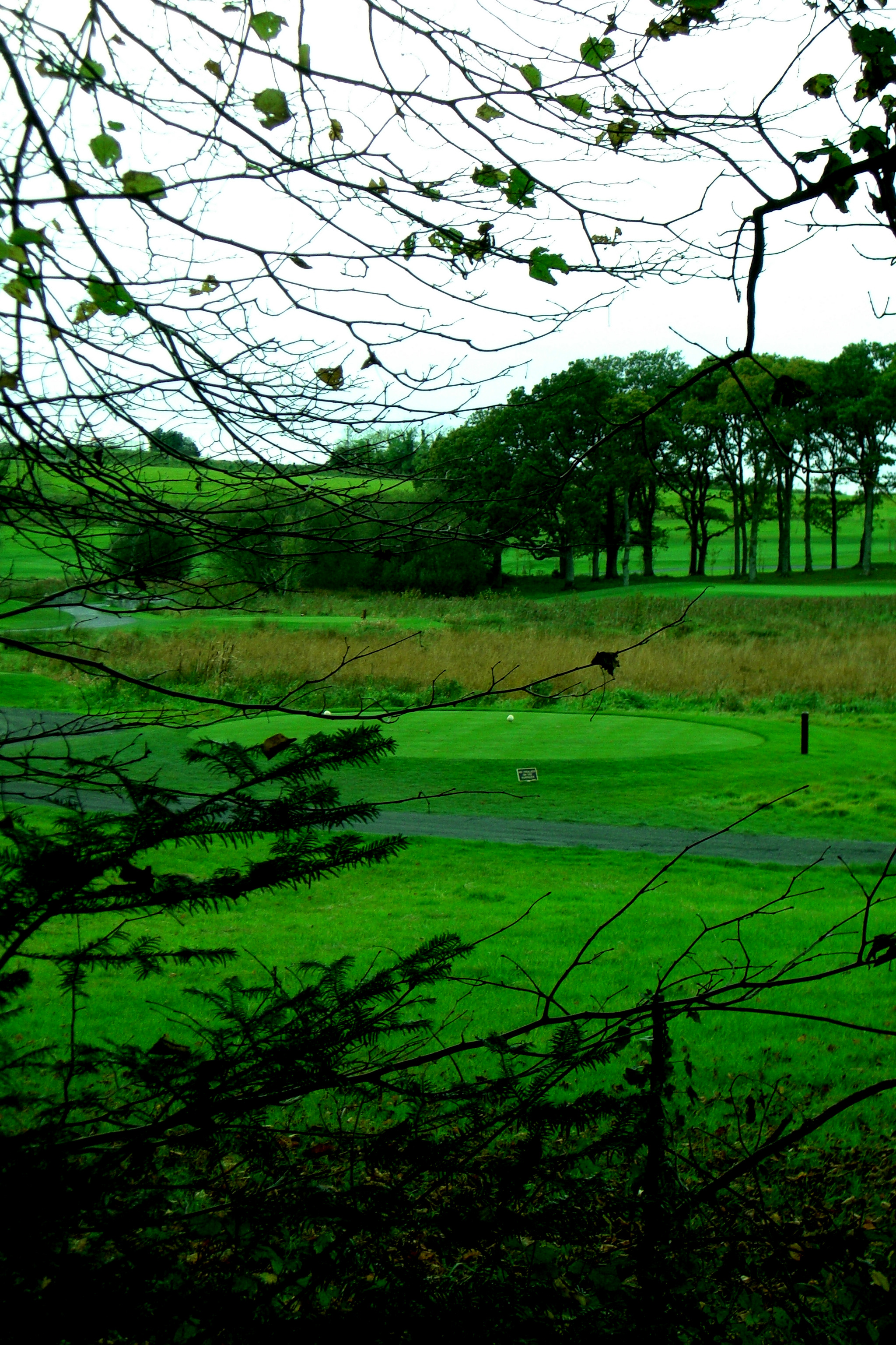 Irish golf course photo